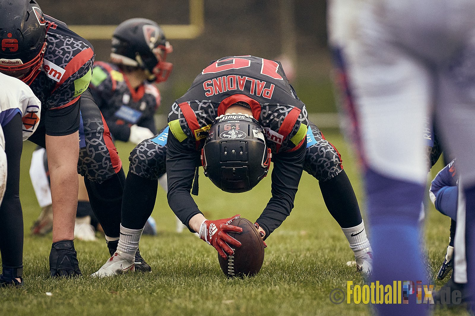 Preseason Game early bird 2023 Solingen Paladins vs. Lohne Longhorns am 4.03.2023 im Stadion Jahnkampfbahn Solingen, Adolf-Clarenbach-Straße 36, 42719 Solingen. Spiel Endstand 34 : 0. Bildnummer: 2023-03-04_0058 - SolingenPaladinsVsLohneLonghorns