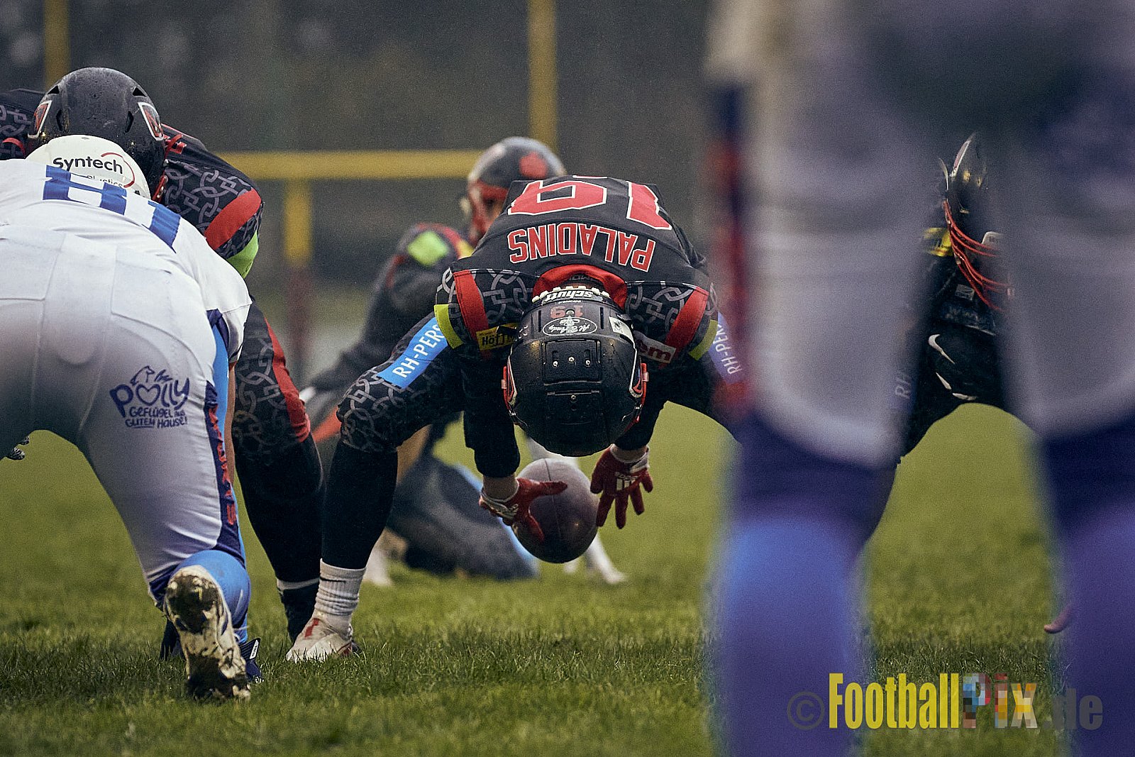 Preseason Game early bird 2023 Solingen Paladins vs. Lohne Longhorns am 4.03.2023 im Stadion Jahnkampfbahn Solingen, Adolf-Clarenbach-Straße 36, 42719 Solingen. Spiel Endstand 34 : 0. Bildnummer: 2023-03-04_0134 - SolingenPaladinsVsLohneLonghorns