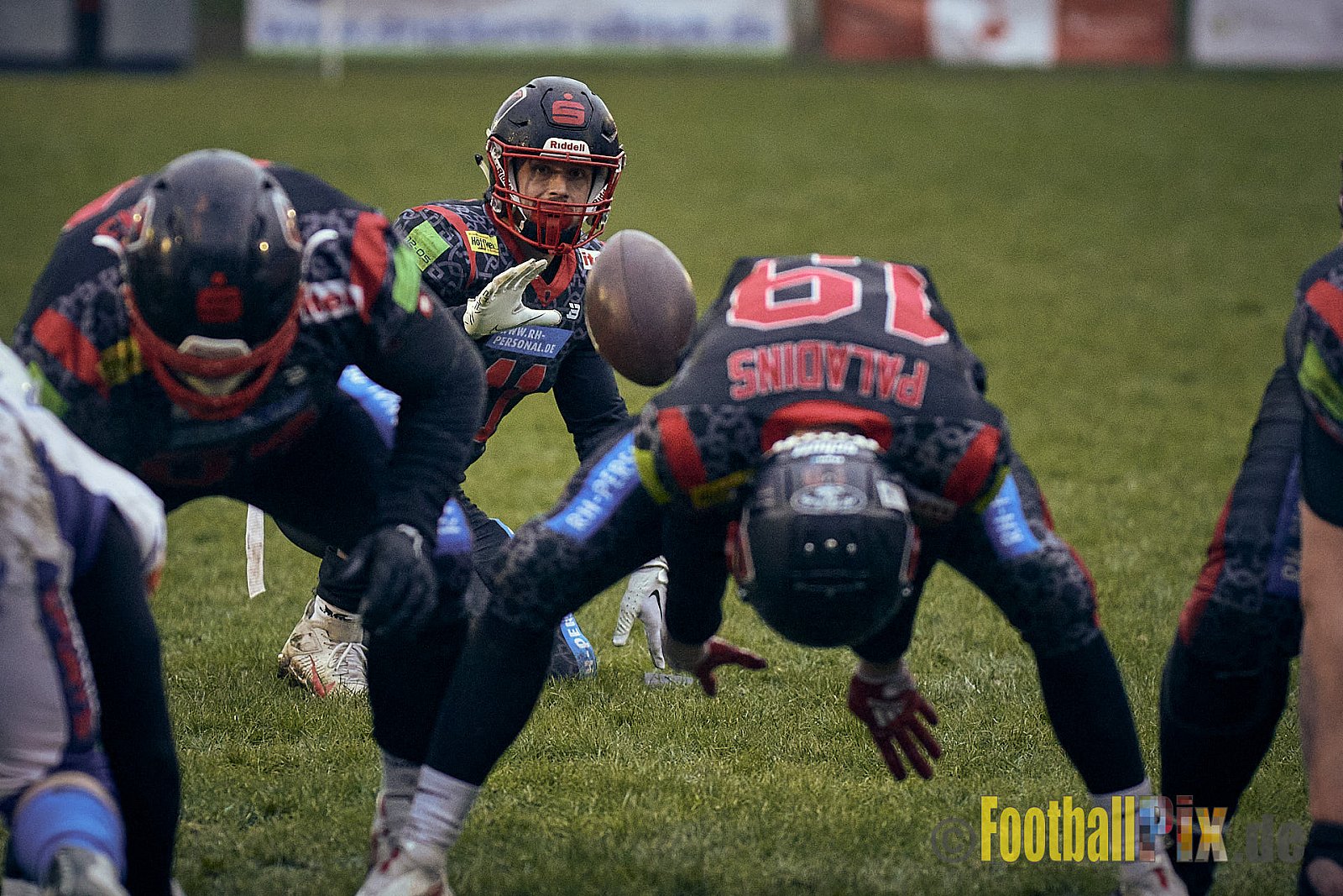 Preseason Game early bird 2023 Solingen Paladins vs. Lohne Longhorns am 4.03.2023 im Stadion Jahnkampfbahn Solingen, Adolf-Clarenbach-Straße 36, 42719 Solingen. Spiel Endstand 34 : 0. Bildnummer: 2023-03-04_0168 - SolingenPaladinsVsLohneLonghorns