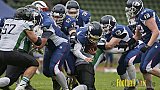 AFCV Verbandsliga Season 2023 Recklinghausen Chargers vs. Rheine Raptors am 29.04.2023 im Stadion Stadion Hohenhorst, Am Stadion 1, 45659 Recklinghausen, Punkte Endstand 37 : 10.
[2023-04-29_0155] - RecklinghausenChargersVsRheineRaptors
