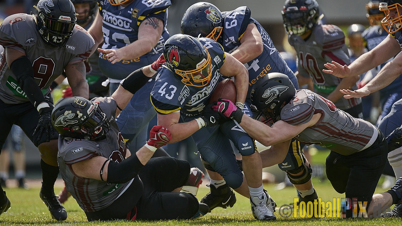 AFCV Regionalliga Season 2023 Essen Assindia Cardinals vs. Wuppertal Greyhounds am 30.04.2023 im Stadion Stadion am Hallo, Hallostraße 50, 45141 Essen, Punkte Endstand 12 : 27.
[2023-04-30_0137] - EssenAssindiaCardinalsVsWuppertalGreyhounds