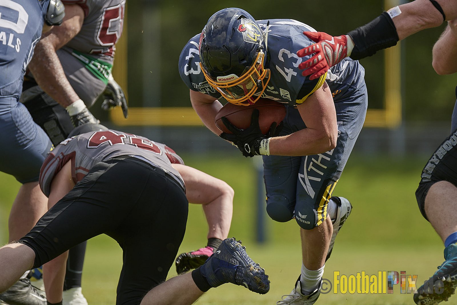 AFCV Regionalliga Season 2023 Essen Assindia Cardinals vs. Wuppertal Greyhounds am 30.04.2023 im Stadion Stadion am Hallo, Hallostraße 50, 45141 Essen, Punkte Endstand 12 : 27.
[2023-04-30_0159] - EssenAssindiaCardinalsVsWuppertalGreyhounds