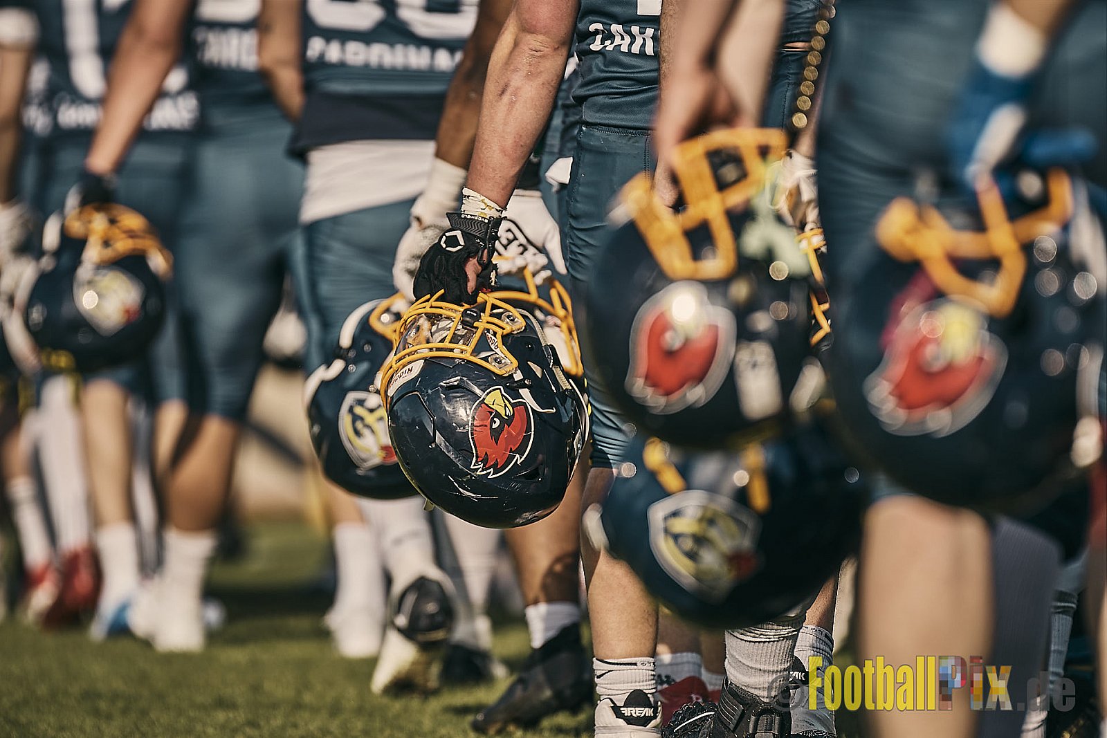 AFCV Regionalliga Season 2023 Essen Assindia Cardinals vs. Wuppertal Greyhounds am 30.04.2023 im Stadion Stadion am Hallo, Hallostraße 50, 45141 Essen, Punkte Endstand 12 : 27.
[2023-04-30_0415] - EssenAssindiaCardinalsVsWuppertalGreyhounds
