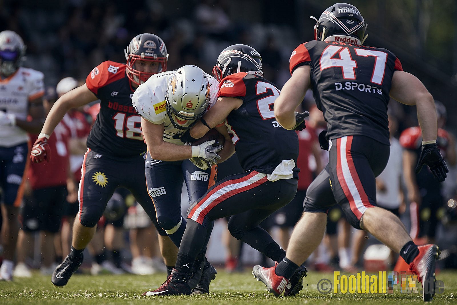 Spiel der GFL2 Season 2023 Düsseldorf Panther vs. Rostock Griffins am 17.06.2023 im Stadion VfL Benrath, Karl-Hohmann-Straße 70, 40597 Düsseldorf. Punkte Endstand 46 : 26. 
Bildnummer: 2023-06-17_0203 - DPantherVsRostockGriffins
