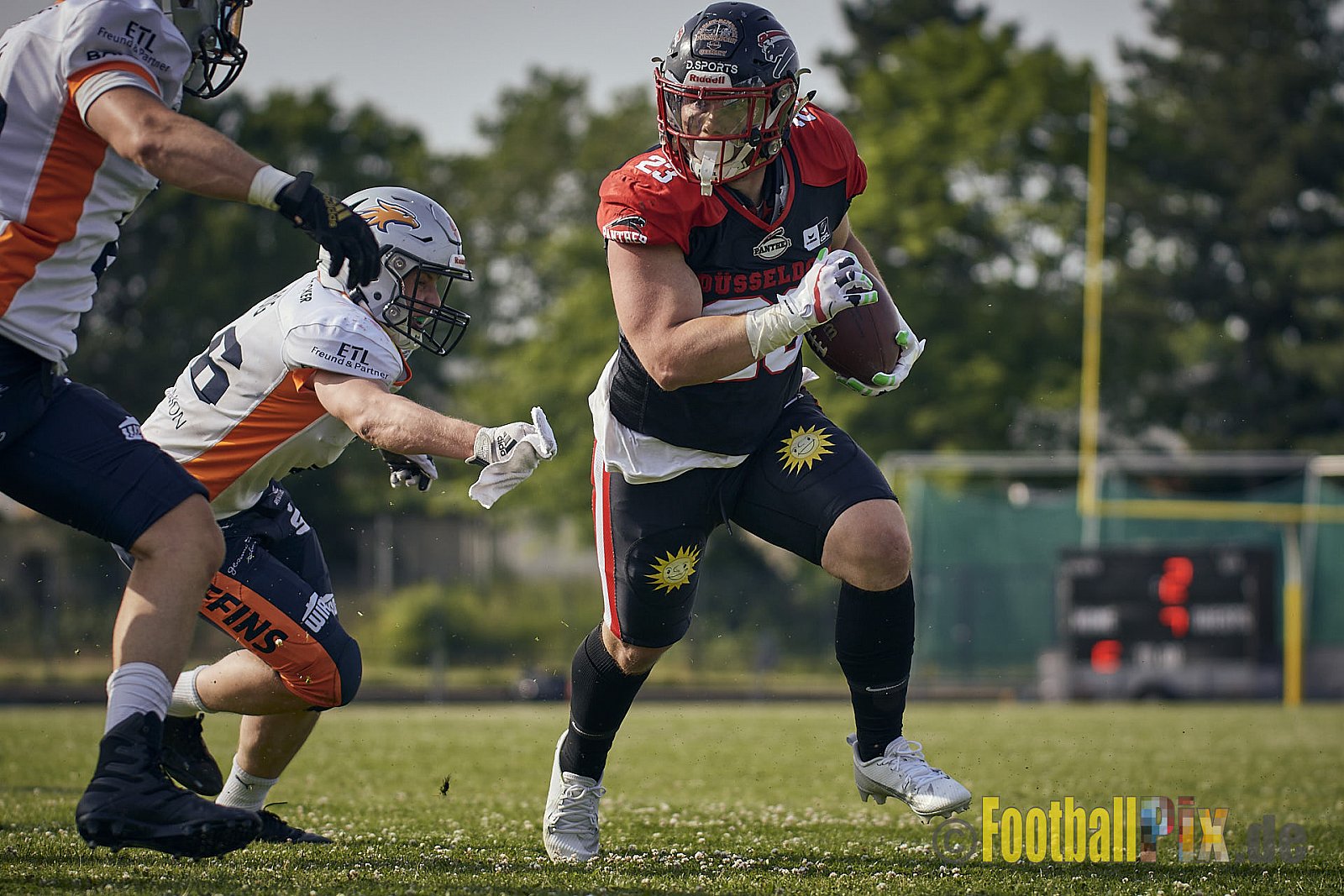 Spiel der GFL2 Season 2023 Düsseldorf Panther vs. Rostock Griffins am 17.06.2023 im Stadion VfL Benrath, Karl-Hohmann-Straße 70, 40597 Düsseldorf. Punkte Endstand 46 : 26. 
Bildnummer: 2023-06-17_0374 - DPantherVsRostockGriffins