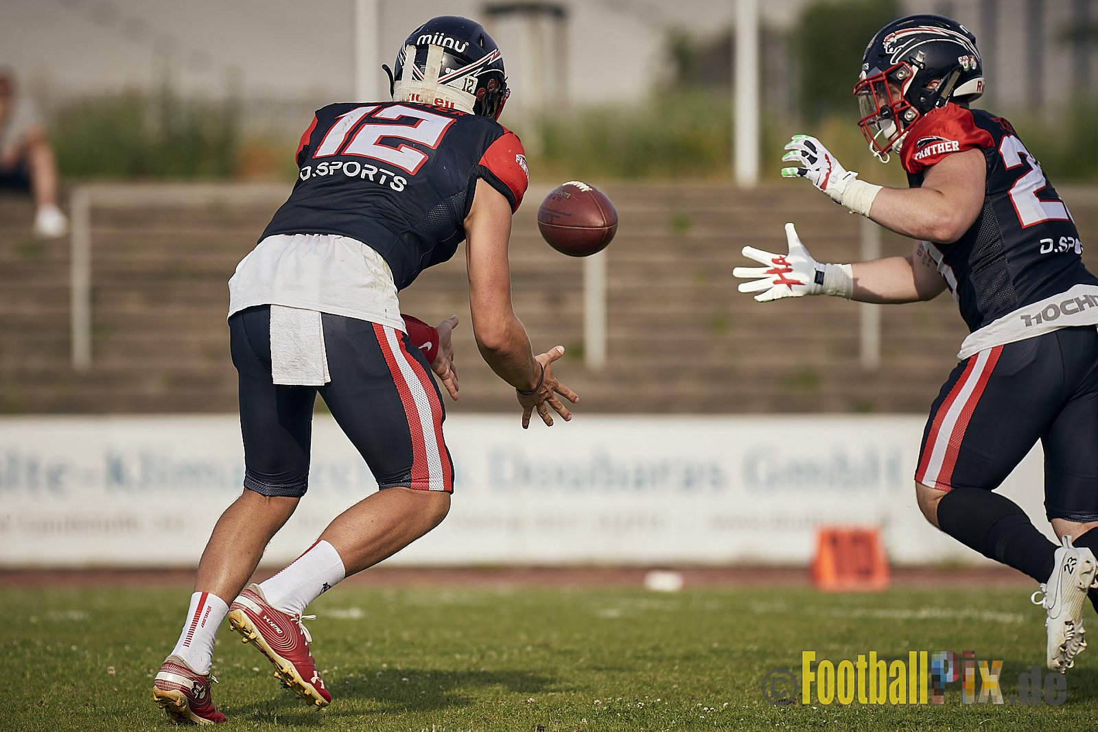 Spiel der GFL2 Season 2023 Düsseldorf Panther vs. Rostock Griffins am 17.06.2023 im Stadion VfL Benrath, Karl-Hohmann-Straße 70, 40597 Düsseldorf. Punkte Endstand 46 : 26. 
Bildnummer: 2023-06-17_0446 - DPantherVsRostockGriffins