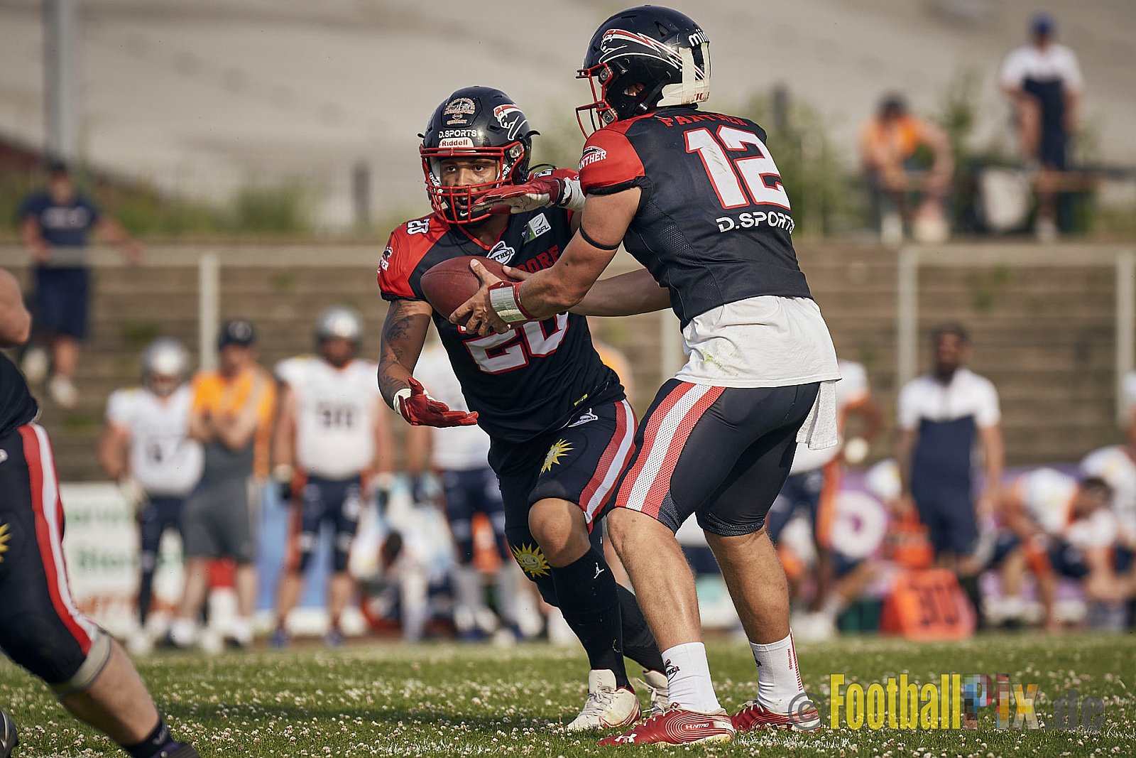 Spiel der GFL2 Season 2023 Düsseldorf Panther vs. Rostock Griffins am 17.06.2023 im Stadion VfL Benrath, Karl-Hohmann-Straße 70, 40597 Düsseldorf. Punkte Endstand 46 : 26. 
Bildnummer: 2023-06-17_0486 - DPantherVsRostockGriffins