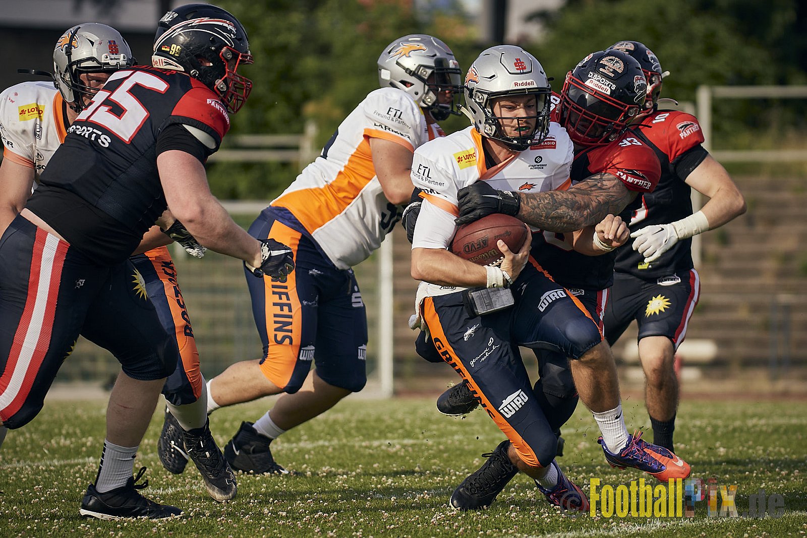 Spiel der GFL2 Season 2023 Düsseldorf Panther vs. Rostock Griffins am 17.06.2023 im Stadion VfL Benrath, Karl-Hohmann-Straße 70, 40597 Düsseldorf. Punkte Endstand 46 : 26. 
Bildnummer: 2023-06-17_0493 - DPantherVsRostockGriffins