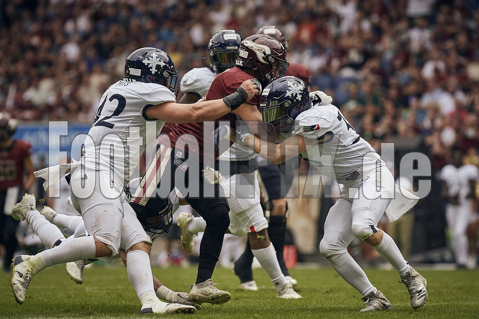 Die 3.Spielwoche der European League of Football (ELF) Season 2023 Rhein Fire vs. Paris Musketeers am 18.06.2023 im Stadion Schauinsland-Reisen-Arena, Margaretenstraße 5-7, 47055 Duisburg. Punkte Endstand 58 : 28. 
Bildnummer: 2023-06-18_0369 - ELF ParisMusketeers@RheinFire