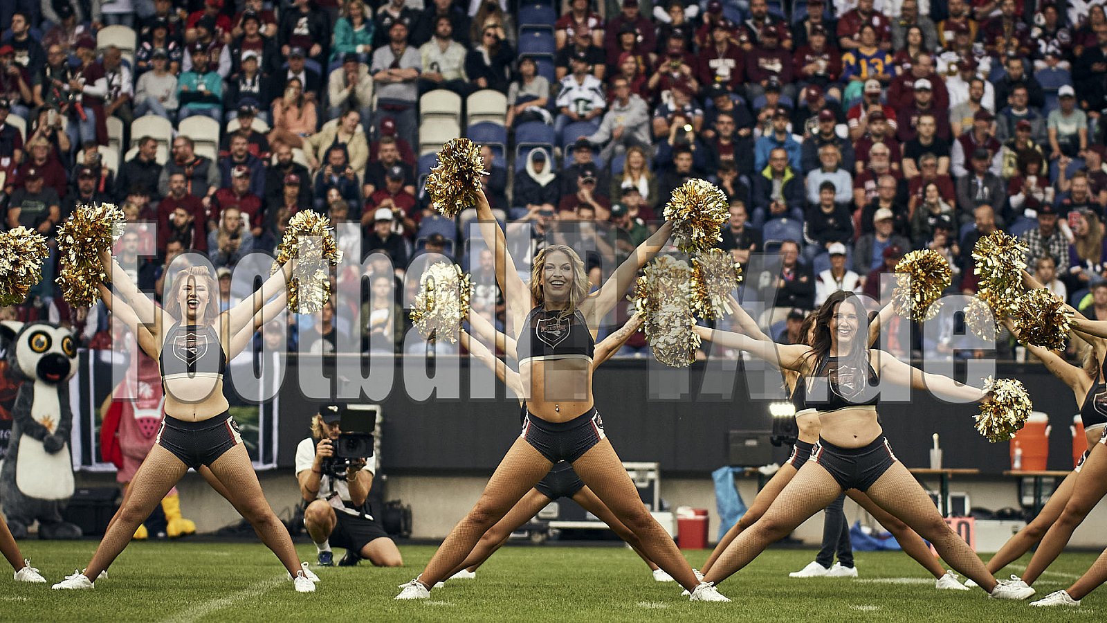 Die 5.Spielwoche der European League of Football (ELF) Season 2023 Rhein Fire vs Helvetic Guards am 1.07.2023 im Stadion Schauinsland-Reisen-Arena, Margaretenstraße 5-7, 47055 Duisburg. Punkte Endstand 51 : 0. 
Bildnummer: 2023-07-01_0085 - ELF HelveticGuards@RheinFire