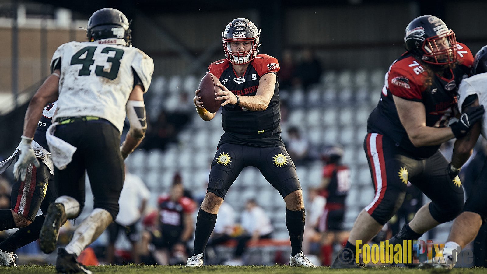 Ligaspiel der GFL2 Season 2023 Düsseldorf Panther vs. Oldenburg Knights am 12.08.2023 im Stadion VfL Benrath, Karl-Hohmann-Straße 70, 40597 Düsseldorf. Punkte Endstand 6 : 8.
Bildnummer: 2023-08-12_0317 - DPantherVsOldenburgKnights