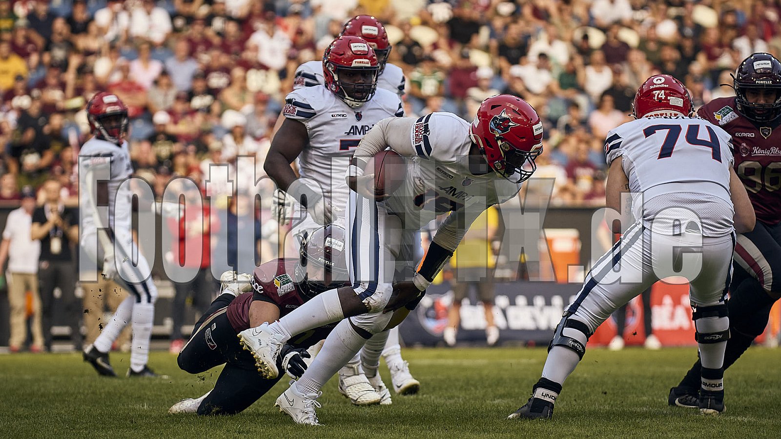 Die 11.Spielwoche der European League of Football (ELF) Season 2023 Rhein Fire vs. Hamburg Sea Devils am 13.08.2023 im Stadion Schauinsland-Reisen-Arena, Margaretenstraße 5-7, 47055 Duisburg. Punkte Endstand 40 : 9. 
Bildnummer: 2023-08-13_0510 - Elf HamburgSeaDevils@RheinFire