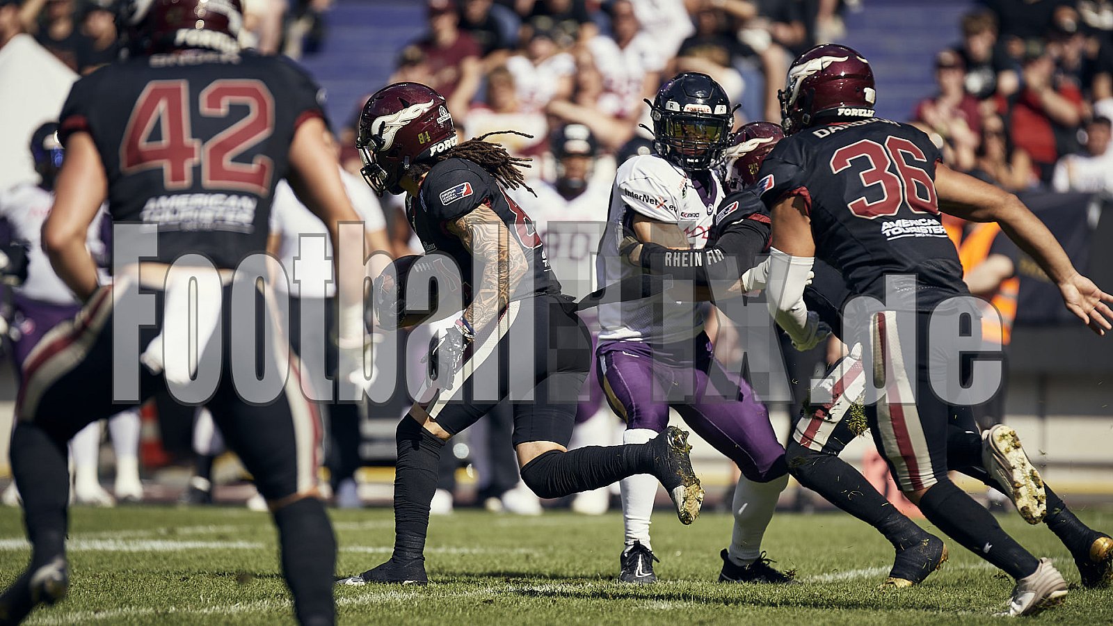 Das Halbfinale der European League of Football (ELF) Season 2023 Rhein Fire vs. Frankfurt Galaxy am 17.09.2023 im Stadion Schauinsland-Reisen-Arena, Margaretenstraße 5-7, 47055 Duisburg. Punkte Endstand 42 : 23. 
Bildnummer: 2023-09-17_0438 - FrankfurtGalaxy@RheinFire