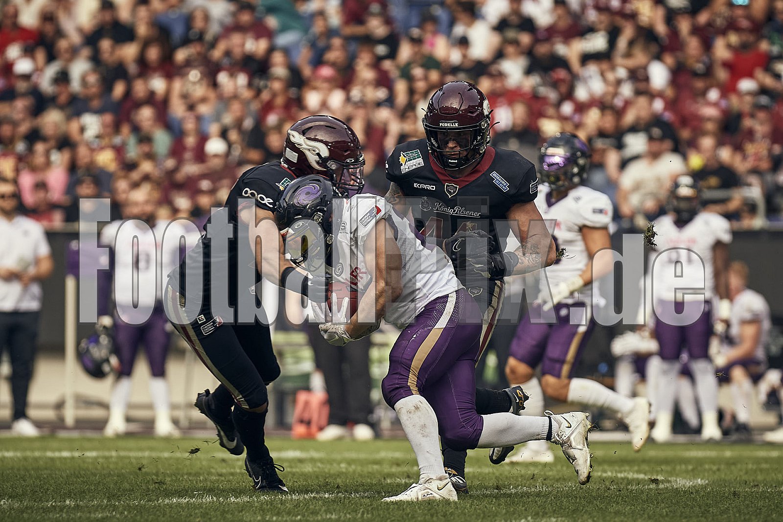 Das Halbfinale der European League of Football (ELF) Season 2023 Rhein Fire vs. Frankfurt Galaxy am 17.09.2023 im Stadion Schauinsland-Reisen-Arena, Margaretenstraße 5-7, 47055 Duisburg. Punkte Endstand 42 : 23. 
Bildnummer: 2023-09-17_0932 - FrankfurtGalaxy@RheinFire