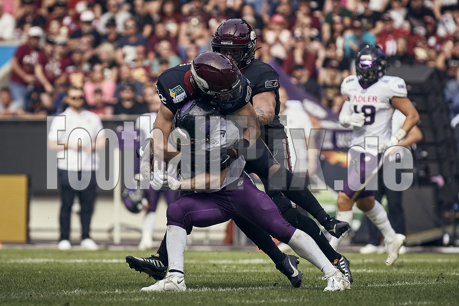 Das Halbfinale der European League of Football (ELF) Season 2023 Rhein Fire vs. Frankfurt Galaxy am 17.09.2023 im Stadion Schauinsland-Reisen-Arena, Margaretenstraße 5-7, 47055 Duisburg. Punkte Endstand 42 : 23. 
Bildnummer: 2023-09-17_0934 - FrankfurtGalaxy@RheinFire