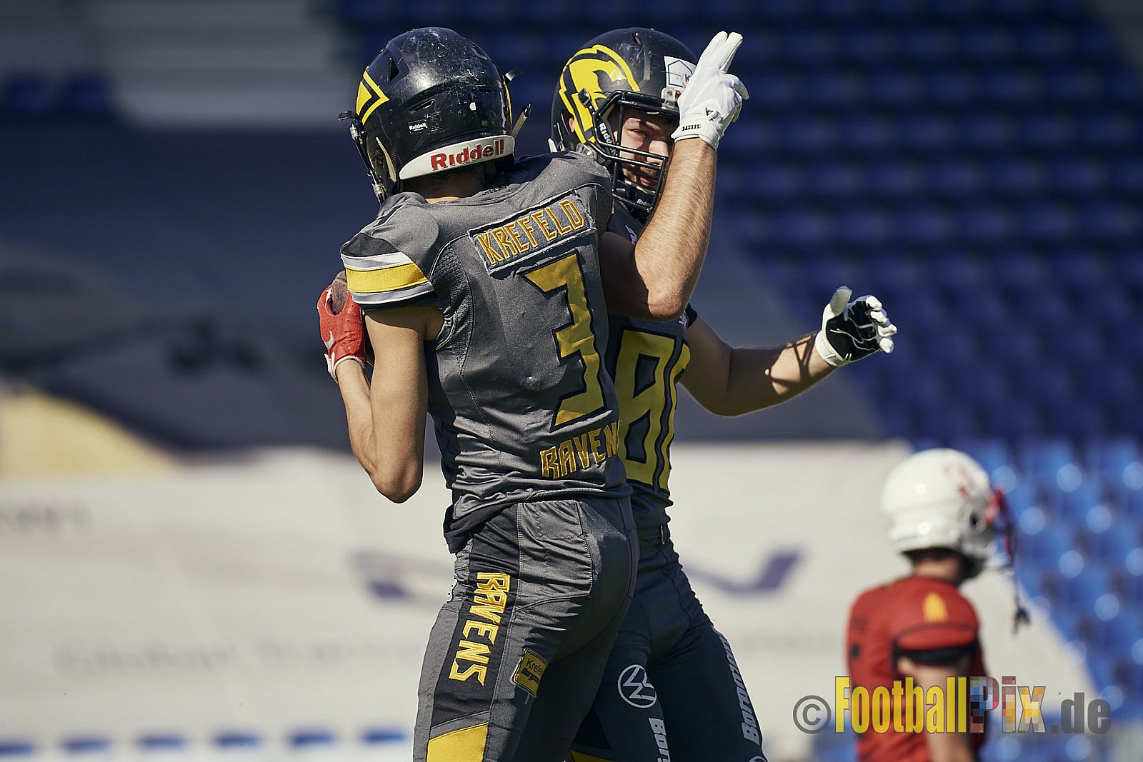 Spiel der AFCV Regionalliga NRW Season 2023 Krefeld Ravens vs. Münster Mammuts am 24.09.2023 im Stadion Grotenburgstadion, Tiergartenstraße, Bockum, Krefeld, North Rhine-Westphalia, 47800, Germany. Punkte Endstand 45 : 0. 
Bildnummer: 2023-09-24_0178 - KrefeldRavensVsMMammuts