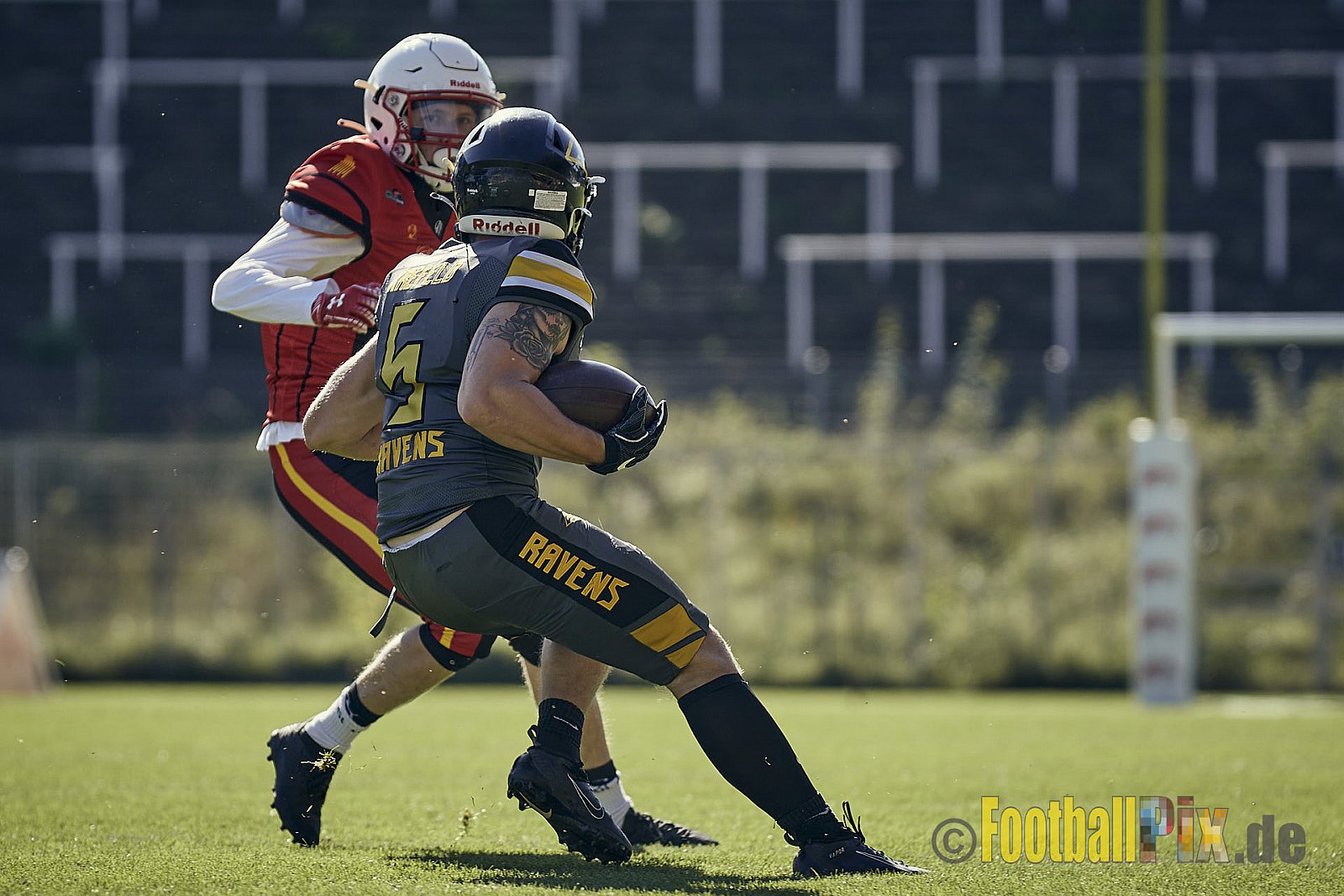 Spiel der AFCV Regionalliga NRW Season 2023 Krefeld Ravens vs. Münster Mammuts am 24.09.2023 im Stadion Grotenburgstadion, Tiergartenstraße, Bockum, Krefeld, North Rhine-Westphalia, 47800, Germany. Punkte Endstand 45 : 0. 
Bildnummer: 2023-09-24_0216 - KrefeldRavensVsMMammuts