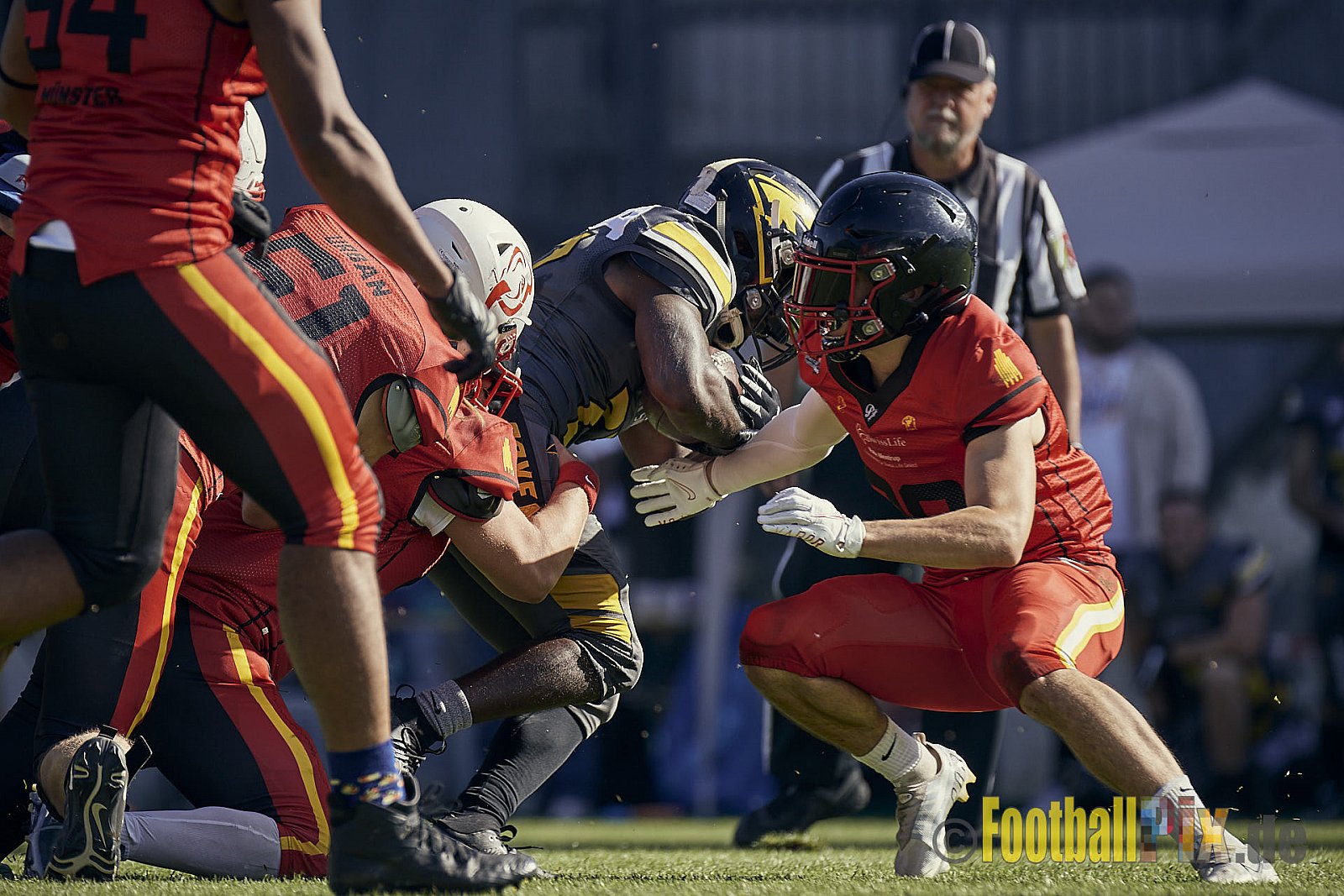 Spiel der AFCV Regionalliga NRW Season 2023 Krefeld Ravens vs. Münster Mammuts am 24.09.2023 im Stadion Grotenburgstadion, Tiergartenstraße, Bockum, Krefeld, North Rhine-Westphalia, 47800, Germany. Punkte Endstand 45 : 0. 
Bildnummer: 2023-09-24_0249 - KrefeldRavensVsMMammuts