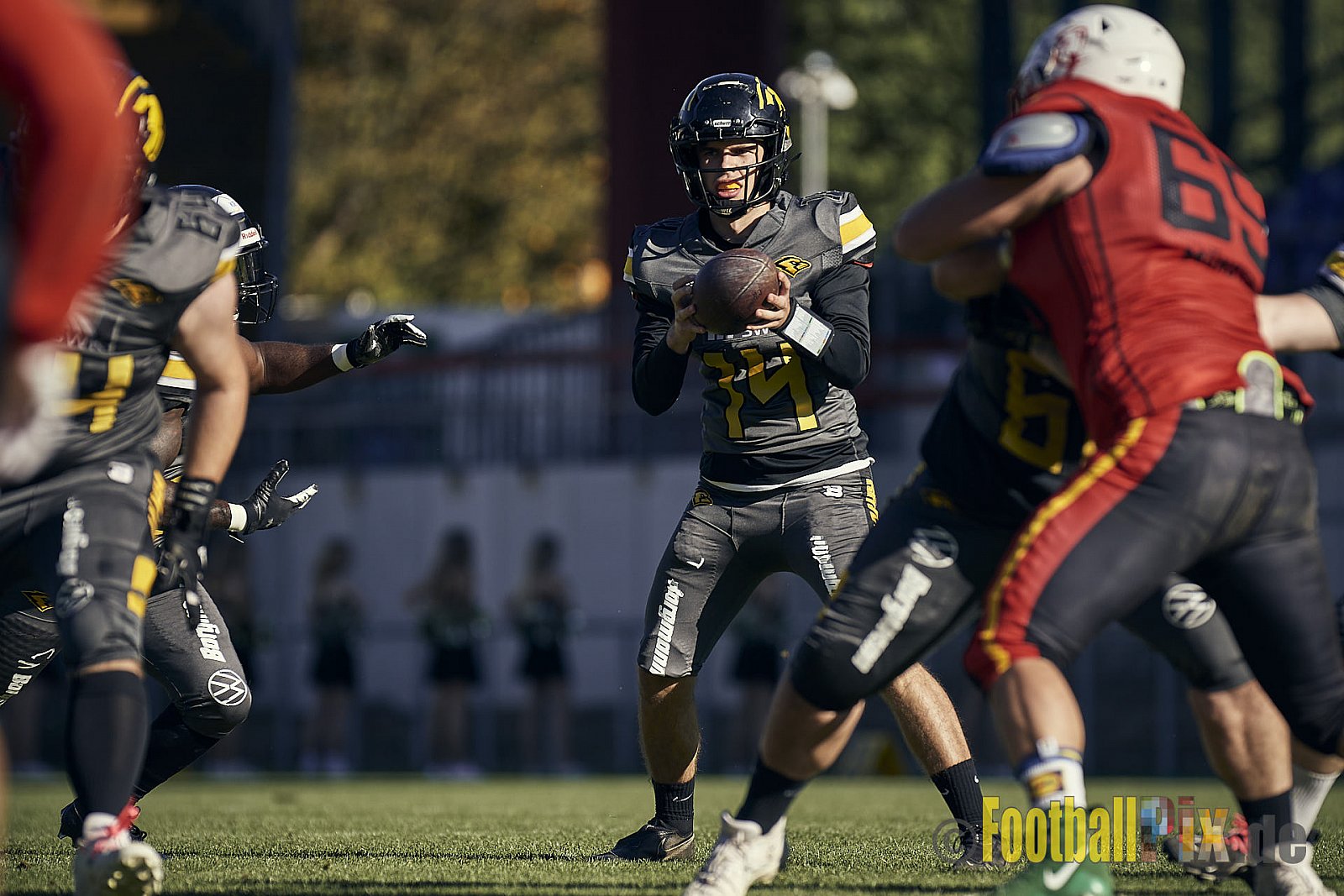 Spiel der AFCV Regionalliga NRW Season 2023 Krefeld Ravens vs. Münster Mammuts am 24.09.2023 im Stadion Grotenburgstadion, Tiergartenstraße, Bockum, Krefeld, North Rhine-Westphalia, 47800, Germany. Punkte Endstand 45 : 0. 
Bildnummer: 2023-09-24_0407 - KrefeldRavensVsMMammuts
