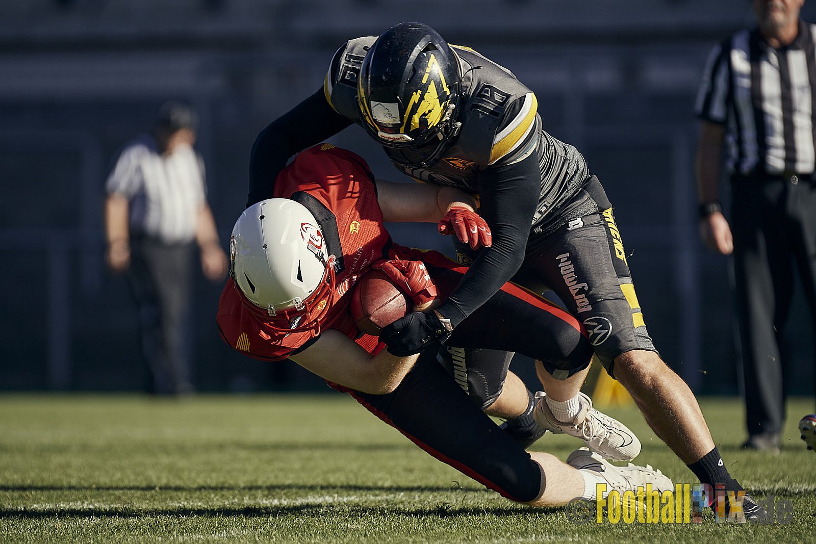 Spiel der AFCV Regionalliga NRW Season 2023 Krefeld Ravens vs. Münster Mammuts am 24.09.2023 im Stadion Grotenburgstadion, Tiergartenstraße, Bockum, Krefeld, North Rhine-Westphalia, 47800, Germany. Punkte Endstand 45 : 0. 
Bildnummer: 2023-09-24_0512 - KrefeldRavensVsMMammuts