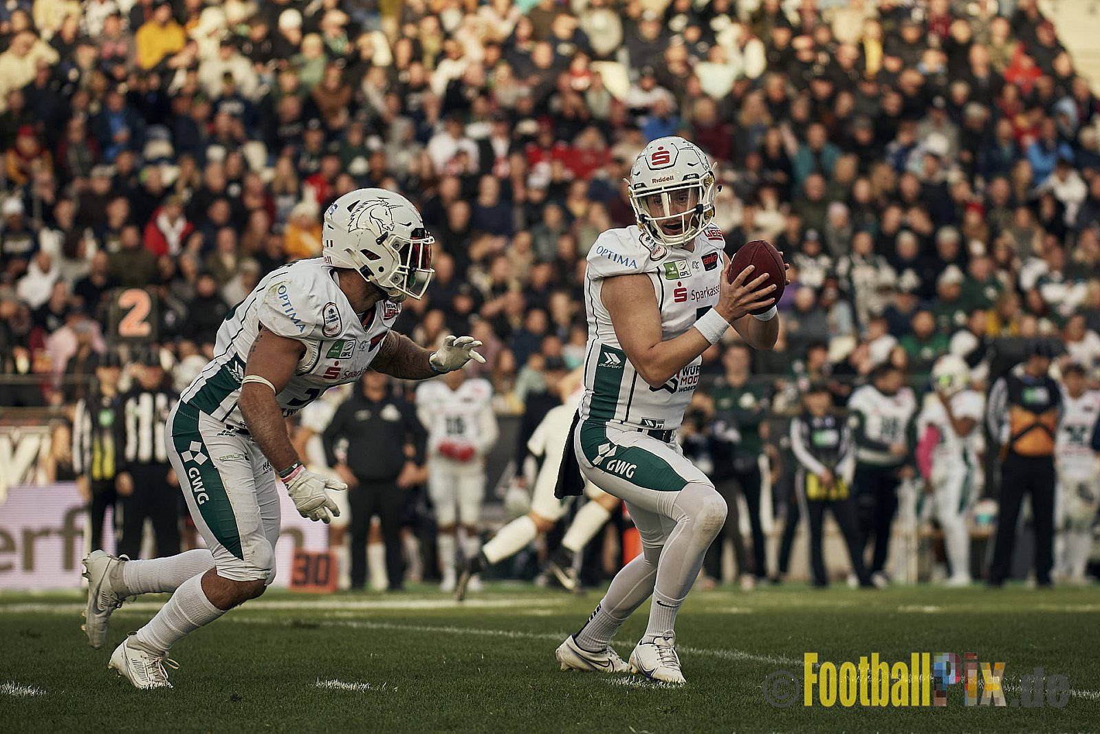 ERIMA GFL Bowl 2023 Potsdam Royals vs. Schwäbisch Hall Unicorns am 14.10.2023 im Stadion Hafenstraße, 45356 Essen. Die Potsdam Royals sind zum ersten Mal Deutscher Meister mit einem Punkte Endstand von 34 : 7. 
Bildnummer: 2023-10-14_0364 - GflBowl2023SchwaebischHallUnicornsVsPotsdamRoyals