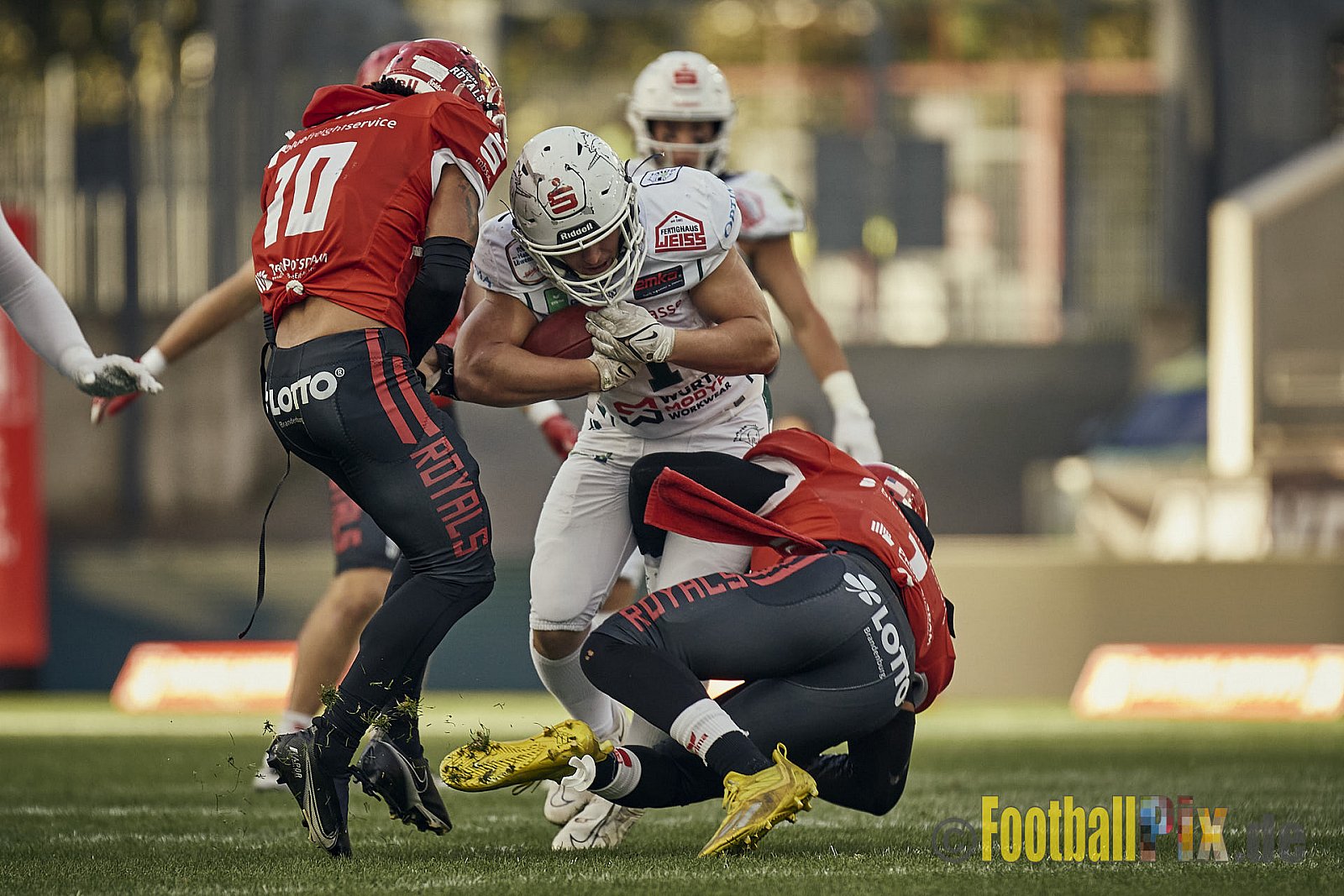 ERIMA GFL Bowl 2023 Potsdam Royals vs. Schwäbisch Hall Unicorns am 14.10.2023 im Stadion Hafenstraße, 45356 Essen. Die Potsdam Royals sind zum ersten Mal Deutscher Meister mit einem Punkte Endstand von 34 : 7. 
Bildnummer: 2023-10-14_0389 - GflBowl2023SchwaebischHallUnicornsVsPotsdamRoyals