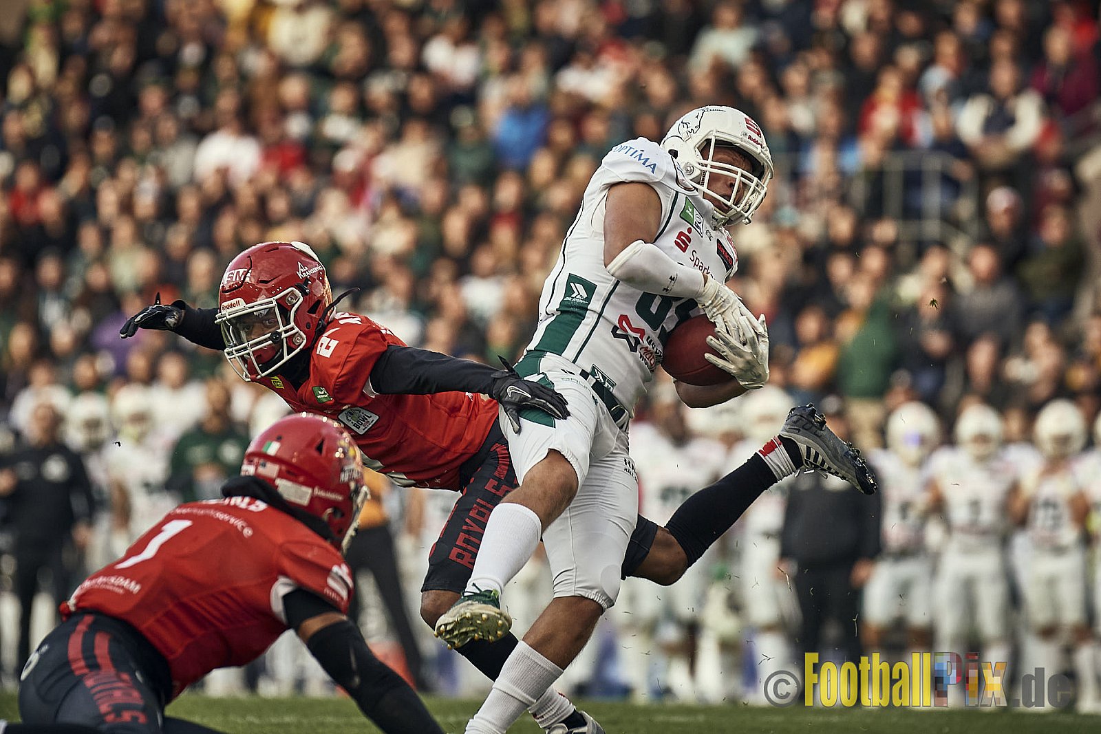 ERIMA GFL Bowl 2023 Potsdam Royals vs. Schwäbisch Hall Unicorns am 14.10.2023 im Stadion Hafenstraße, 45356 Essen. Die Potsdam Royals sind zum ersten Mal Deutscher Meister mit einem Punkte Endstand von 34 : 7. 
Bildnummer: 2023-10-14_0413 - GflBowl2023SchwaebischHallUnicornsVsPotsdamRoyals