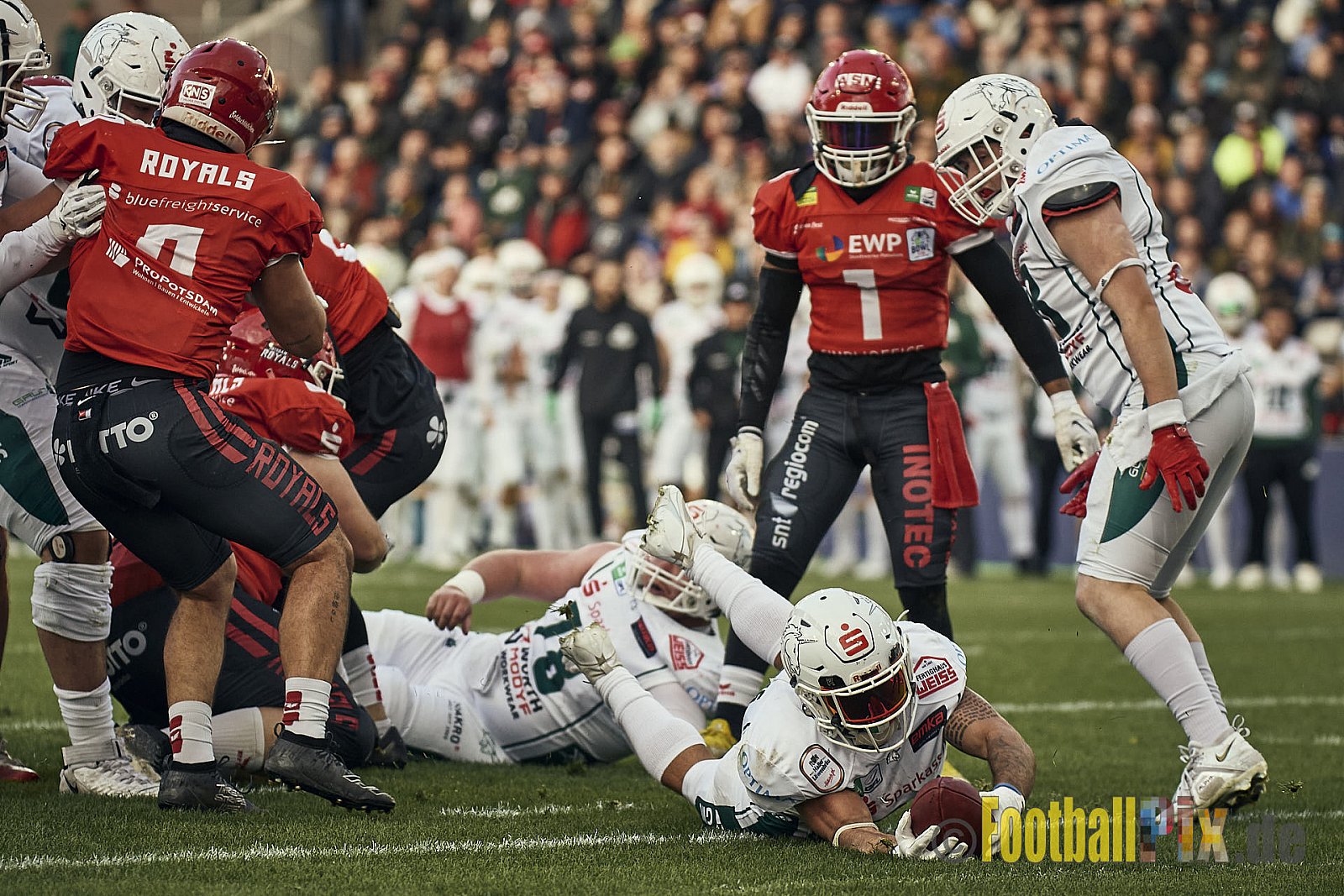 ERIMA GFL Bowl 2023 Potsdam Royals vs. Schwäbisch Hall Unicorns am 14.10.2023 im Stadion Hafenstraße, 45356 Essen. Die Potsdam Royals sind zum ersten Mal Deutscher Meister mit einem Punkte Endstand von 34 : 7. 
Bildnummer: 2023-10-14_0428 - GflBowl2023SchwaebischHallUnicornsVsPotsdamRoyals