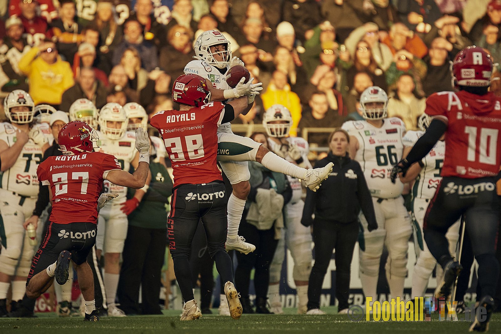ERIMA GFL Bowl 2023 Potsdam Royals vs. Schwäbisch Hall Unicorns am 14.10.2023 im Stadion Hafenstraße, 45356 Essen. Die Potsdam Royals sind zum ersten Mal Deutscher Meister mit einem Punkte Endstand von 34 : 7. 
Bildnummer: 2023-10-14_0762 - GflBowl2023SchwaebischHallUnicornsVsPotsdamRoyals