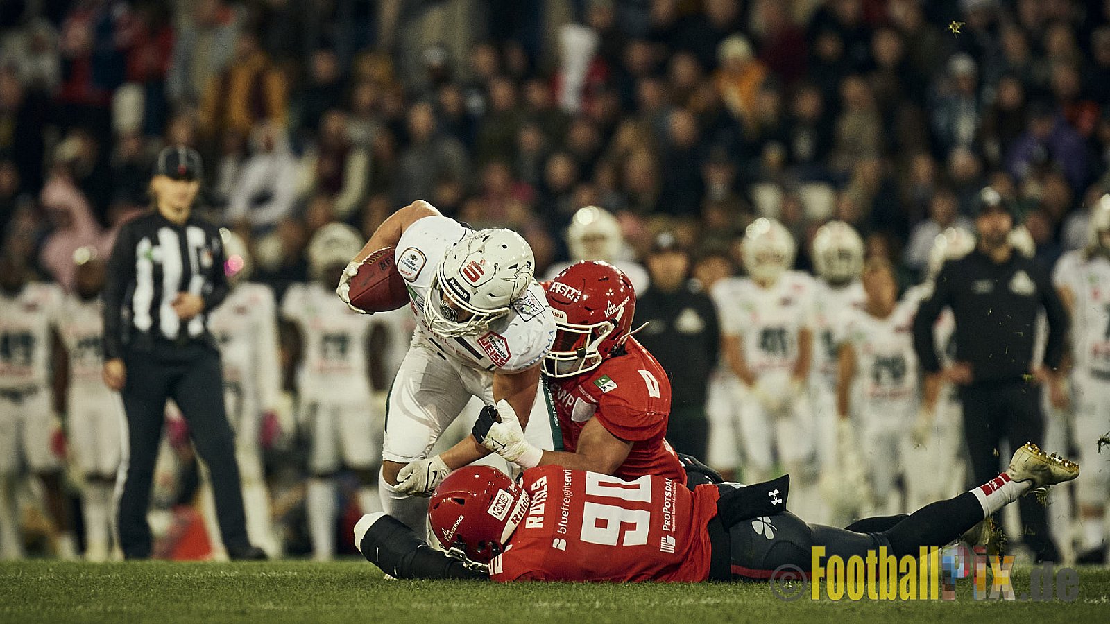 ERIMA GFL Bowl 2023 Potsdam Royals vs. Schwäbisch Hall Unicorns am 14.10.2023 im Stadion Hafenstraße, 45356 Essen. Die Potsdam Royals sind zum ersten Mal Deutscher Meister mit einem Punkte Endstand von 34 : 7. 
Bildnummer: 2023-10-14_0829 - GflBowl2023SchwaebischHallUnicornsVsPotsdamRoyals