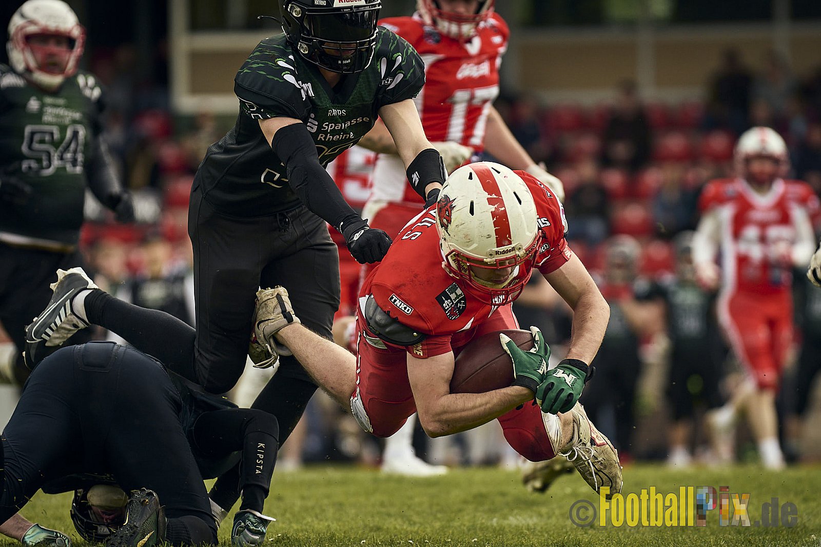 AFCV Verbandsliga Season 2024 Rheine Raptors vs. Gelsenkirchen Devils am 28.04.2024 im Jahnstadion, Schützenstraße, 48429 Rheine, Punkte Endstand 28 : 31.
[Bildnummer: 2024-04-28_0465] - RheineRaptorsVsGelsenkirchenDevils