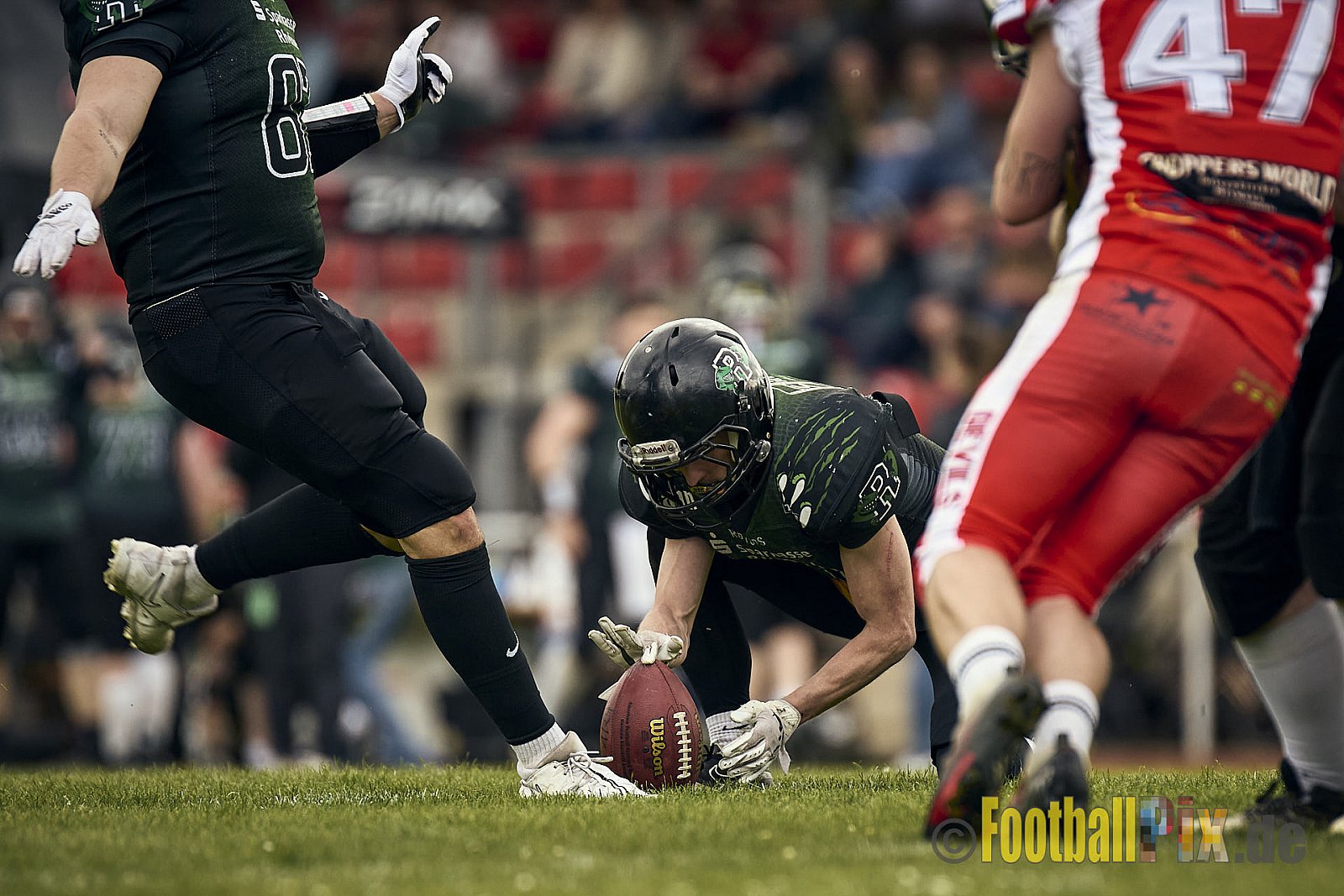 AFCV Verbandsliga Season 2024 Rheine Raptors vs. Gelsenkirchen Devils am 28.04.2024 im Jahnstadion, Schützenstraße, 48429 Rheine, Punkte Endstand 28 : 31.
[Bildnummer: 2024-04-28_0638] - RheineRaptorsVsGelsenkirchenDevils