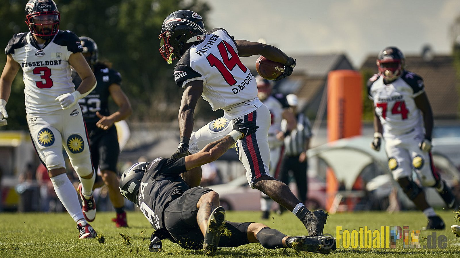 GFL2 Season 2024 Langenfeld Longhorns vs. Düsseldorf Panther am 25.05.2024 im Jahnstadion Langenfeld, Jahnstraße 4, 40764 Langenfeld (Rheinland). Punkte Endstand 16 : 07.
[Bildnummer: 2024-05-25_0221] - LangenfeldLonghornsVsDdorfPanther