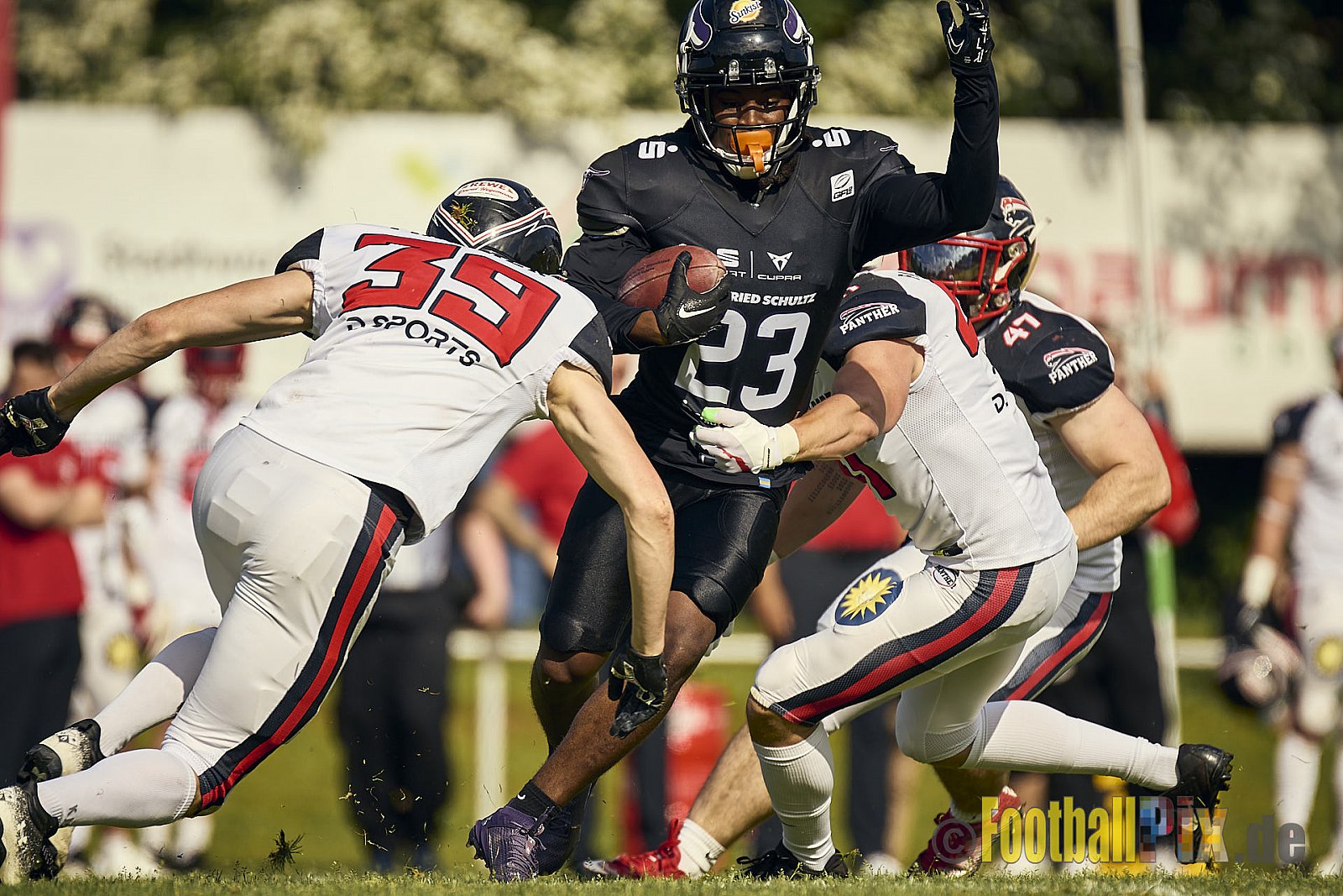 GFL2 Season 2024 Langenfeld Longhorns vs. Düsseldorf Panther am 25.05.2024 im Jahnstadion Langenfeld, Jahnstraße 4, 40764 Langenfeld (Rheinland). Punkte Endstand 16 : 07.
[Bildnummer: 2024-05-25_0405] - LangenfeldLonghornsVsDdorfPanther