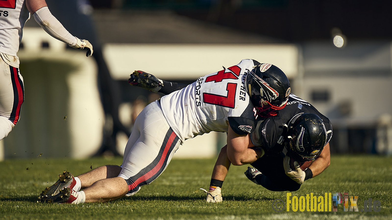 GFL2 Season 2024 Langenfeld Longhorns vs. Düsseldorf Panther am 25.05.2024 im Jahnstadion Langenfeld, Jahnstraße 4, 40764 Langenfeld (Rheinland). Punkte Endstand 16 : 07.
[Bildnummer: 2024-05-25_0650] - LangenfeldLonghornsVsDdorfPanther