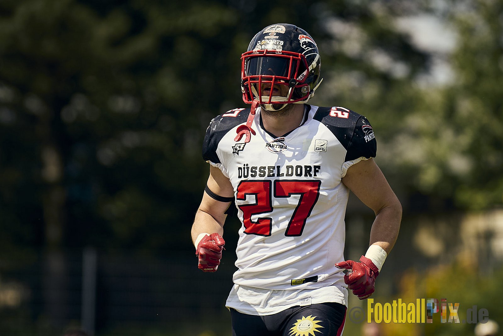GFL2 Season 2024 Düsseldorf Panther vs. Bielefeld Bulldogs am 09.06.2024 im Bezirks Sportanlage Benrath, Nürnberger Straße, Benrath, Stadtbezirk 9, Dusseldorf, North Rhine – Westphalia, 40599, Germany. Punkte Endstand 30 : 0. - DPantherVsBielefeldBulldogs