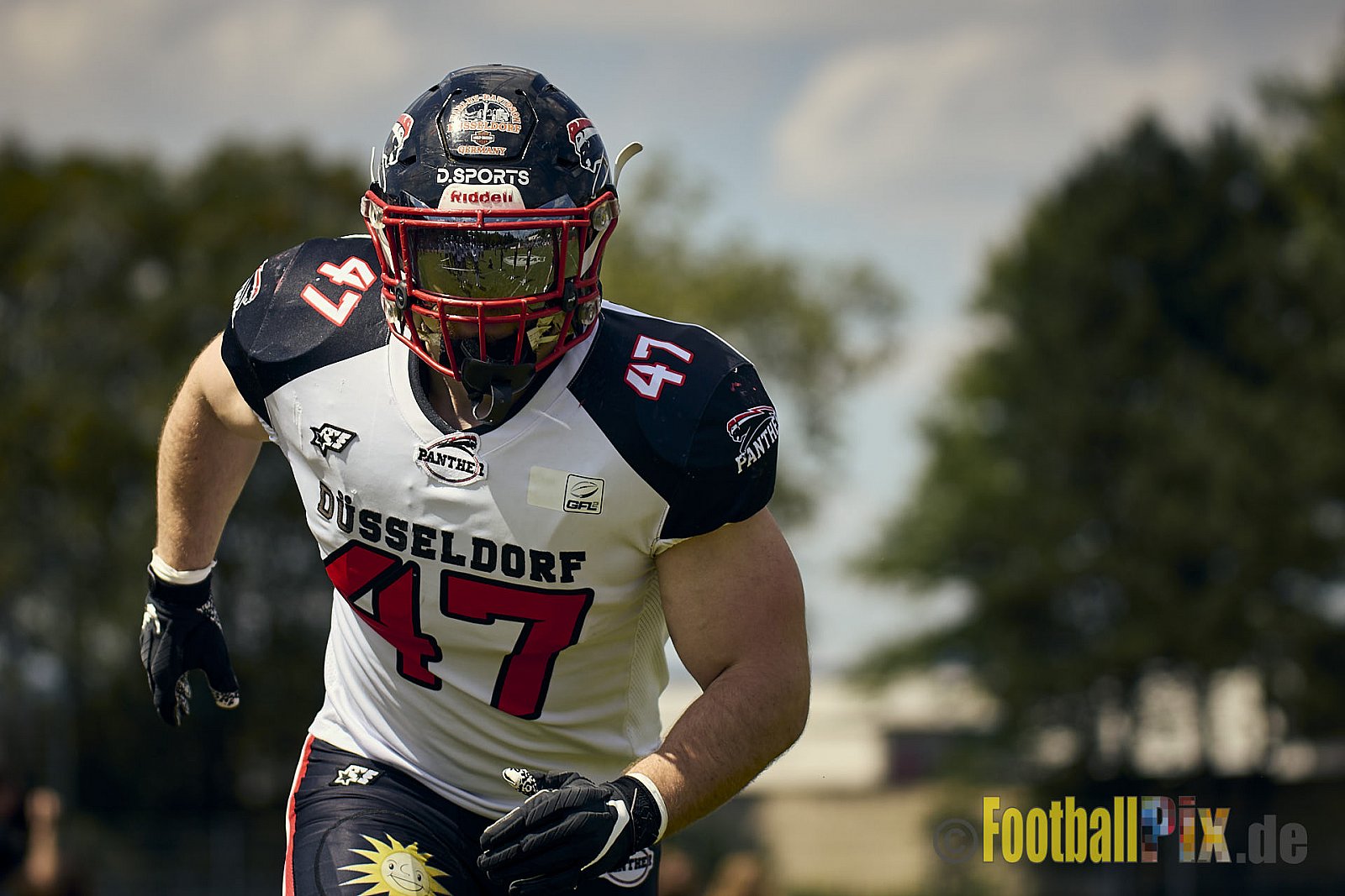 GFL2 Season 2024 Düsseldorf Panther vs. Bielefeld Bulldogs am 09.06.2024 im Bezirks Sportanlage Benrath, Nürnberger Straße, Benrath, Stadtbezirk 9, Dusseldorf, North Rhine – Westphalia, 40599, Germany. Punkte Endstand 30 : 0. - DPantherVsBielefeldBulldogs