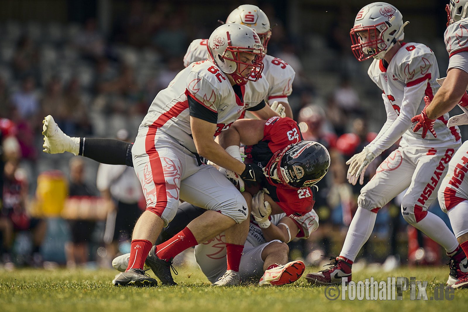 GFL2 Season 2024 Düsseldorf Panther vs. Cottbus Crayfish am 29.06.2024 im Bezirks Sportanlage Benrath, Nürnberger Straße, Benrath, Stadtbezirk 9, Dusseldorf, North Rhine-Westphalia, 40599, Germany. Punkte Endstand 64 : 0. - DPantherVsCottbusCrayfish