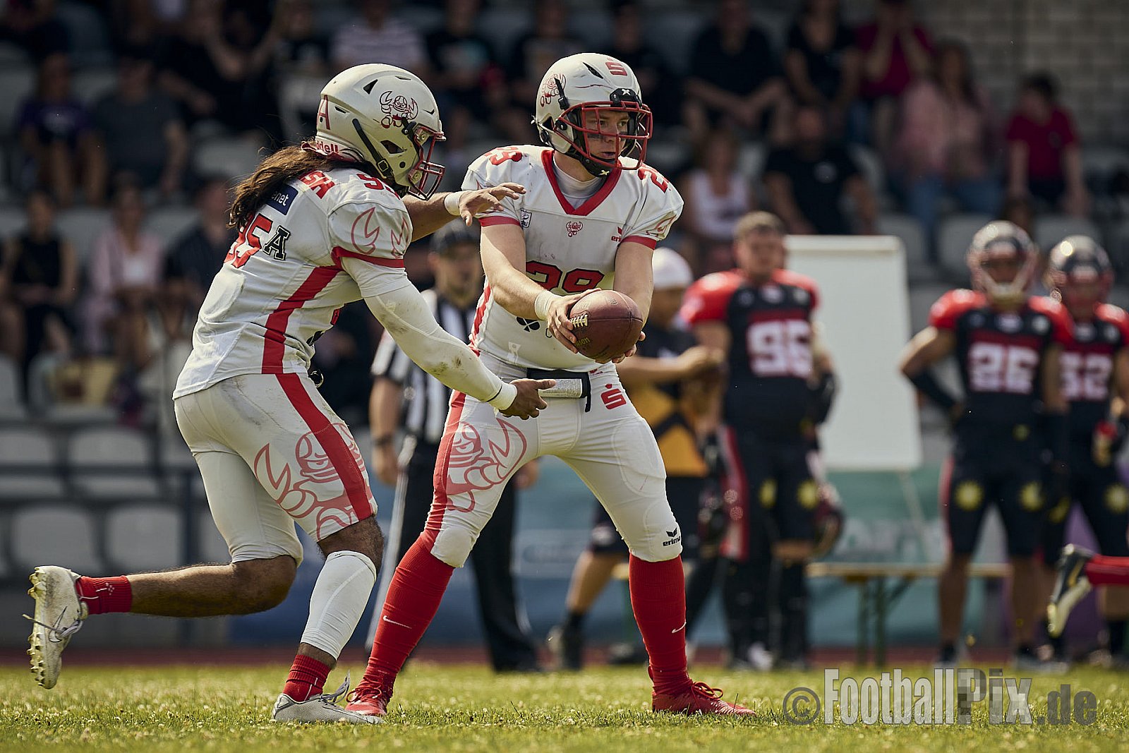 GFL2 Season 2024 Düsseldorf Panther vs. Cottbus Crayfish am 29.06.2024 im Bezirks Sportanlage Benrath, Nürnberger Straße, Benrath, Stadtbezirk 9, Dusseldorf, North Rhine-Westphalia, 40599, Germany. Punkte Endstand 64 : 0. - DPantherVsCottbusCrayfish