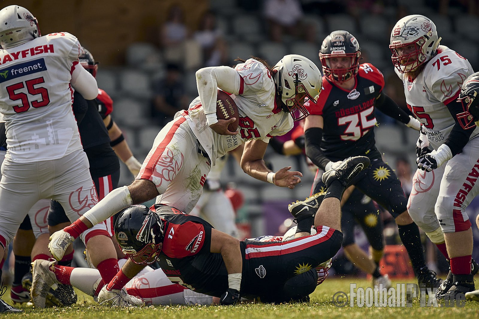 GFL2 Season 2024 Düsseldorf Panther vs. Cottbus Crayfish am 29.06.2024 im Bezirks Sportanlage Benrath, Nürnberger Straße, Benrath, Stadtbezirk 9, Dusseldorf, North Rhine-Westphalia, 40599, Germany. Punkte Endstand 64 : 0. - DPantherVsCottbusCrayfish