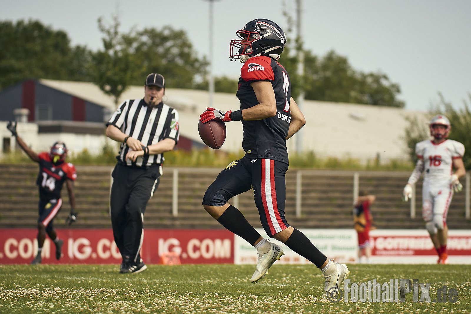 GFL2 Season 2024 Düsseldorf Panther vs. Cottbus Crayfish am 29.06.2024 im Bezirks Sportanlage Benrath, Nürnberger Straße, Benrath, Stadtbezirk 9, Dusseldorf, North Rhine-Westphalia, 40599, Germany. Punkte Endstand 64 : 0. - DPantherVsCottbusCrayfish