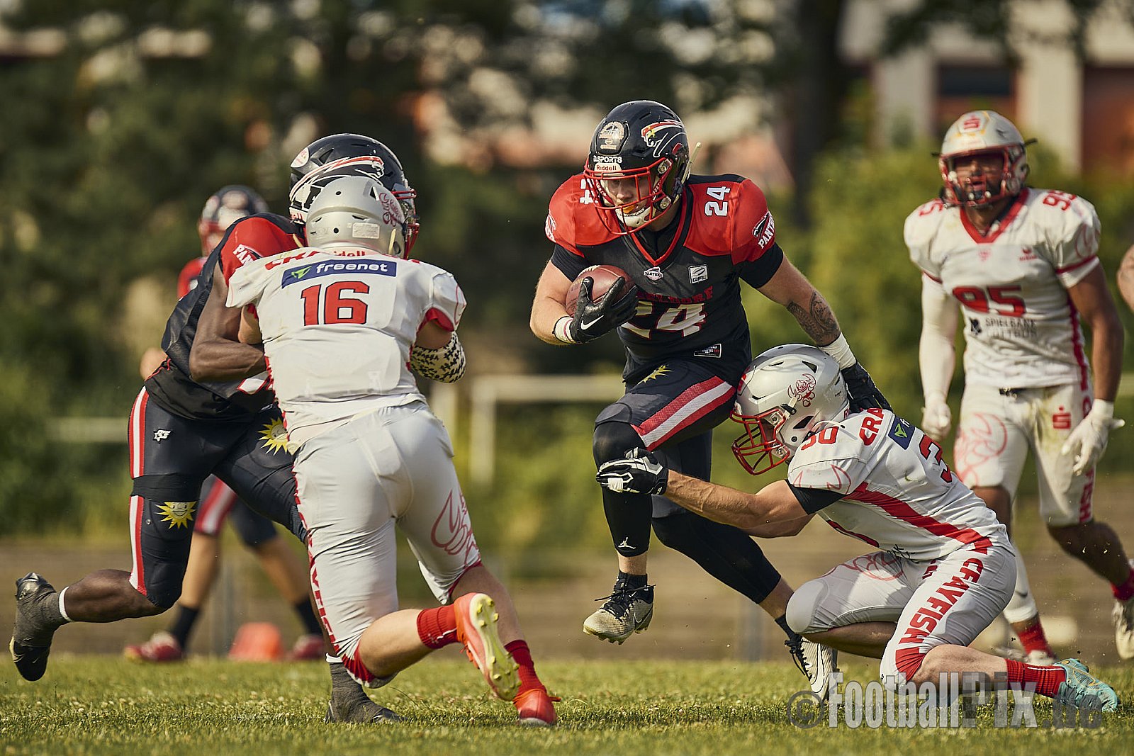 GFL2 Season 2024 Düsseldorf Panther vs. Cottbus Crayfish am 29.06.2024 im Bezirks Sportanlage Benrath, Nürnberger Straße, Benrath, Stadtbezirk 9, Dusseldorf, North Rhine-Westphalia, 40599, Germany. Punkte Endstand 64 : 0. - DPantherVsCottbusCrayfish