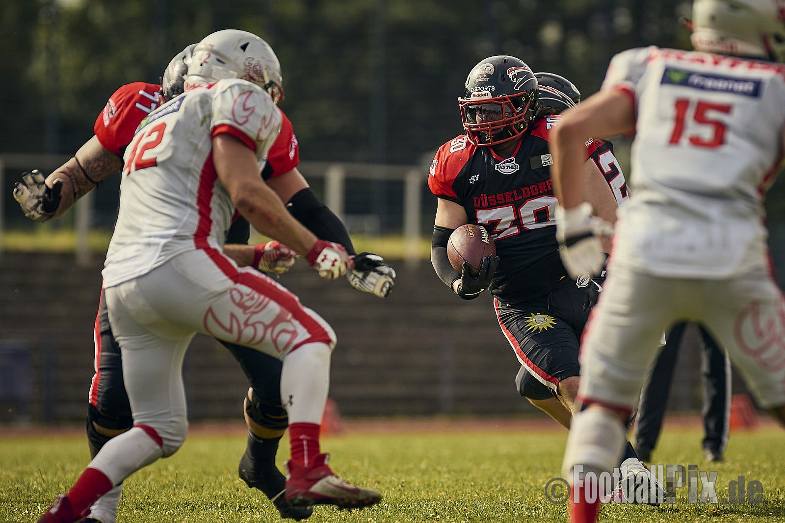 GFL2 Season 2024 Düsseldorf Panther vs. Cottbus Crayfish am 29.06.2024 im Bezirks Sportanlage Benrath, Nürnberger Straße, Benrath, Stadtbezirk 9, Dusseldorf, North Rhine-Westphalia, 40599, Germany. Punkte Endstand 64 : 0. - DPantherVsCottbusCrayfish