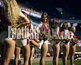 12.Spielwoche der European League of Football (ELF) Season 2024 Hamburg Sea Devils at Rhein Fire am 11.08.2024 im Stadion Schauinsland-Reisen-Arena, 5-7, Margaretenstraße, Neudorf-Süd, Duisburg-Mitte, Duisburg, North Rhine-Westphalia, 47055, Germany. Spiel Endstand 02 : 51. Bildnummer: 2024-08-11_0334 - Elf HamburgSeaDevilsAtRheinFire