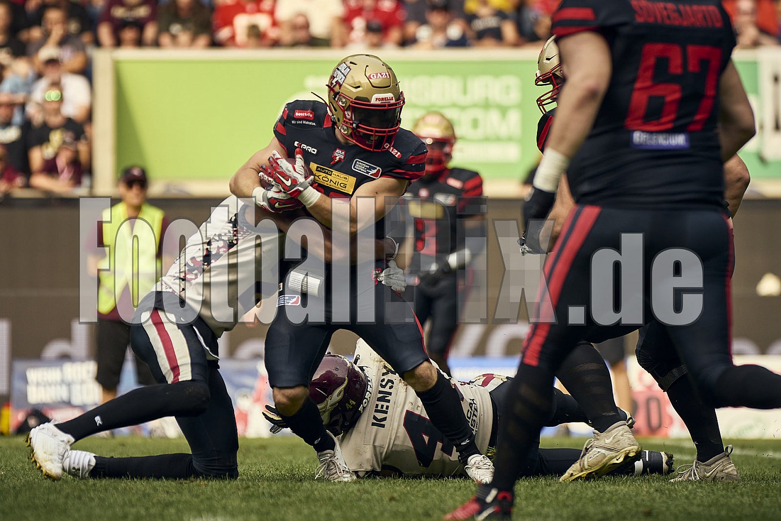 13.Spielwoche der European League of Football (ELF) Season 2024 Berlin Thunder at Rhein Fire am 18.08.2024 im Stadion . Spiel Endstand 14 : 47. Bildnummer: 2024-08-18_0783 - Elf BerlinThunderAtRheinFire