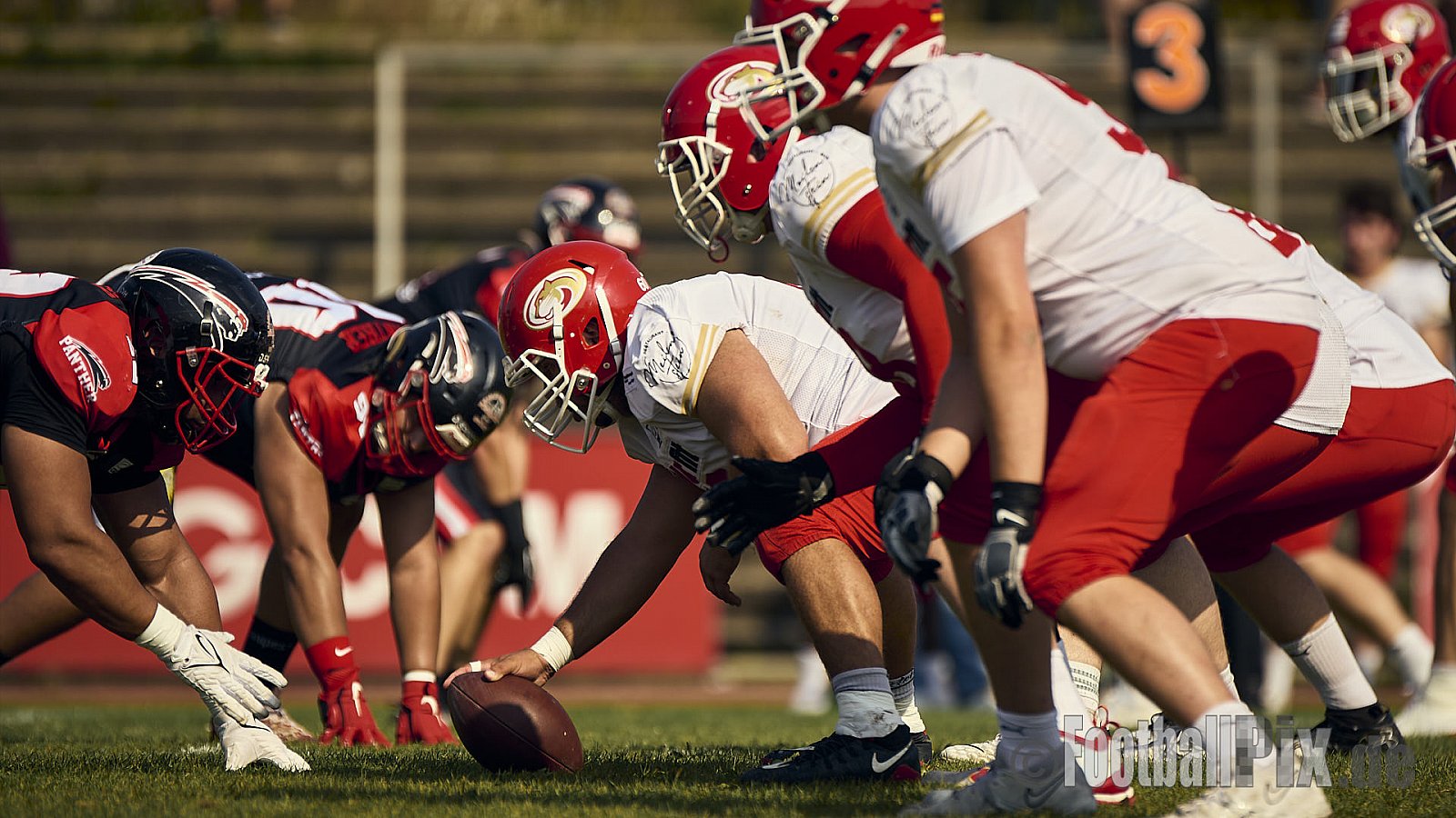 GFL2 Season 2024 Düsseldorf Panther vs. Lübeck Cougars am 31.08.2024 im Bezirks Sportanlage Benrath, Nürnberger Straße, Benrath, Stadtbezirk 9, Dusseldorf, North Rhine-Westphalia, 40599, Germany. Punkte Endstand 16 : 10. - DPantherVsLuebeckCougars