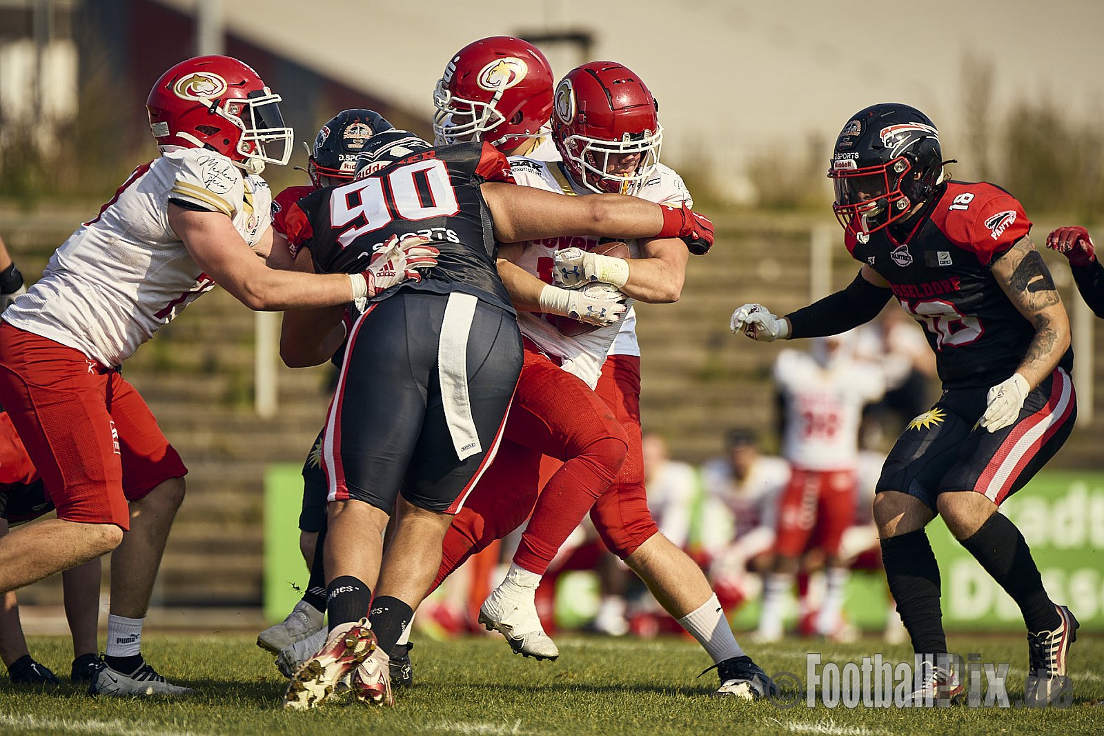 GFL2 Season 2024 Düsseldorf Panther vs. Lübeck Cougars am 31.08.2024 im Bezirks Sportanlage Benrath, Nürnberger Straße, Benrath, Stadtbezirk 9, Dusseldorf, North Rhine-Westphalia, 40599, Germany. Punkte Endstand 16 : 10. - DPantherVsLuebeckCougars