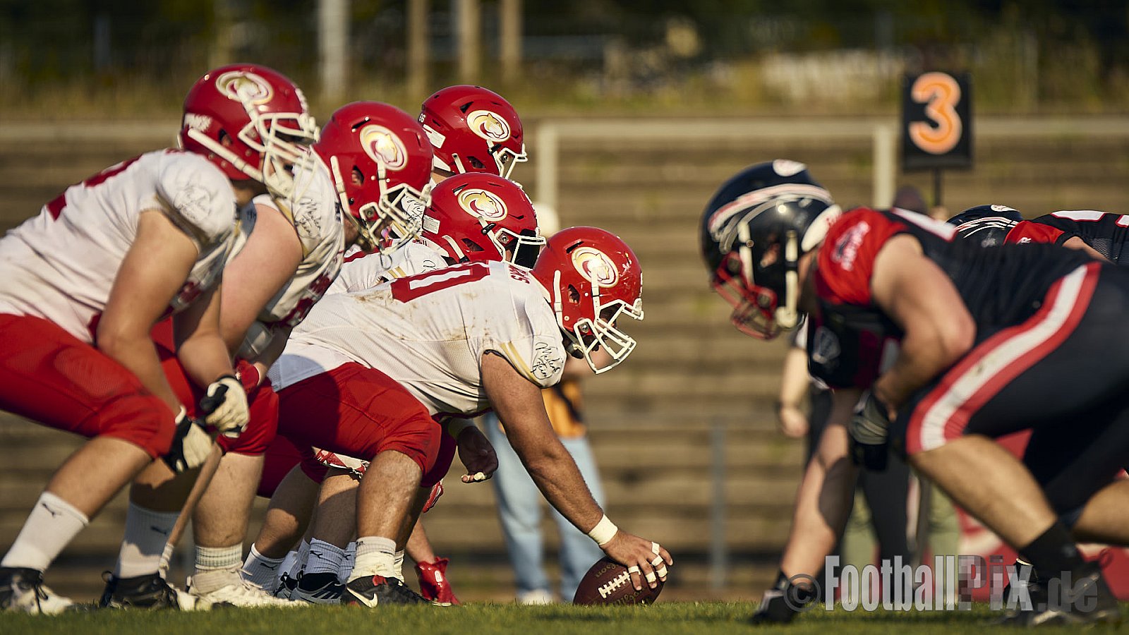 GFL2 Season 2024 Düsseldorf Panther vs. Lübeck Cougars am 31.08.2024 im Bezirks Sportanlage Benrath, Nürnberger Straße, Benrath, Stadtbezirk 9, Dusseldorf, North Rhine-Westphalia, 40599, Germany. Punkte Endstand 16 : 10. - DPantherVsLuebeckCougars