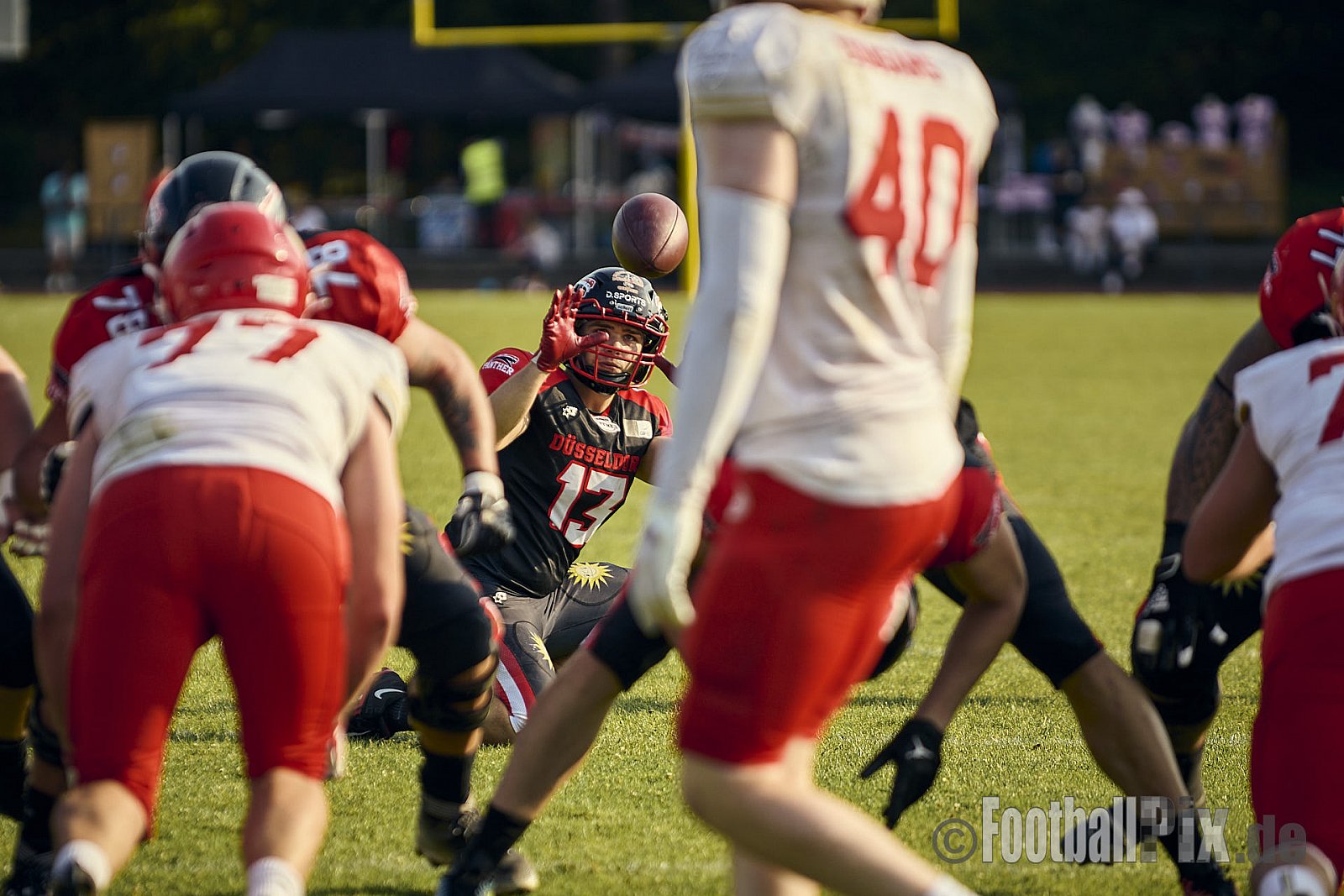 GFL2 Season 2024 Düsseldorf Panther vs. Lübeck Cougars am 31.08.2024 im Bezirks Sportanlage Benrath, Nürnberger Straße, Benrath, Stadtbezirk 9, Dusseldorf, North Rhine-Westphalia, 40599, Germany. Punkte Endstand 16 : 10. - DPantherVsLuebeckCougars
