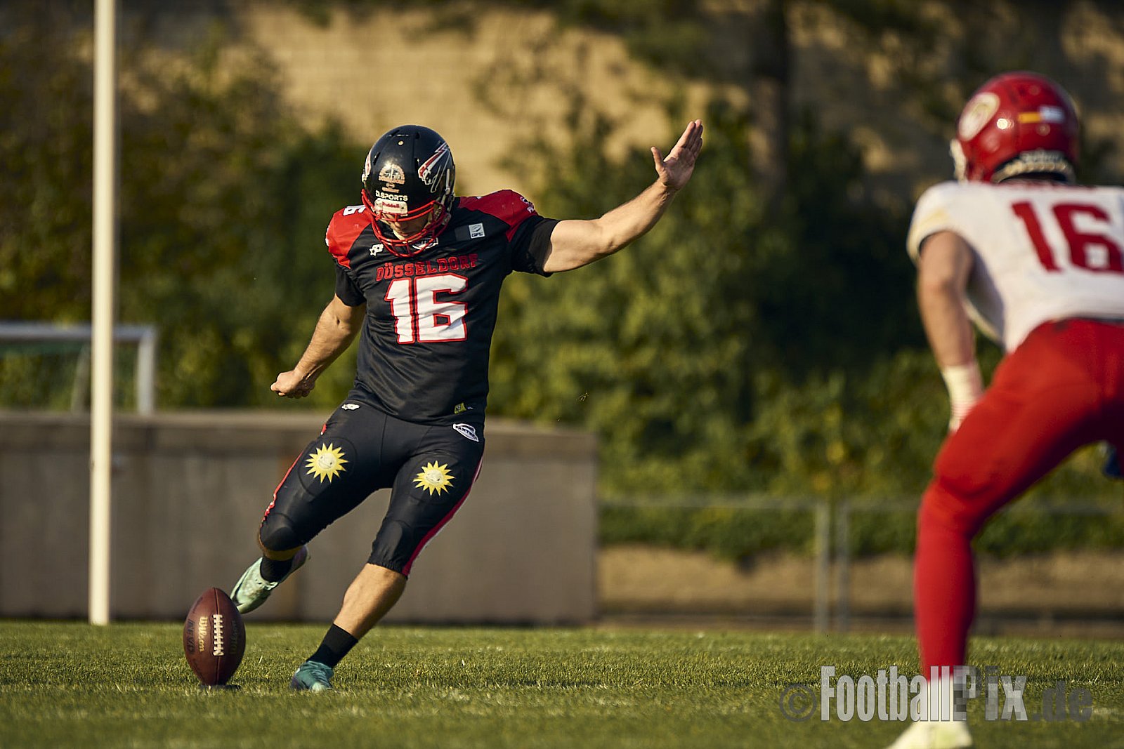 GFL2 Season 2024 Düsseldorf Panther vs. Lübeck Cougars am 31.08.2024 im Bezirks Sportanlage Benrath, Nürnberger Straße, Benrath, Stadtbezirk 9, Dusseldorf, North Rhine-Westphalia, 40599, Germany. Punkte Endstand 16 : 10. - DPantherVsLuebeckCougars